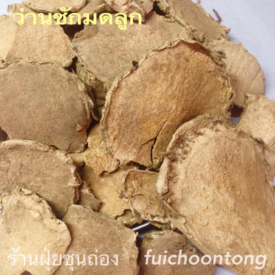 ว่านชักมดลูก
