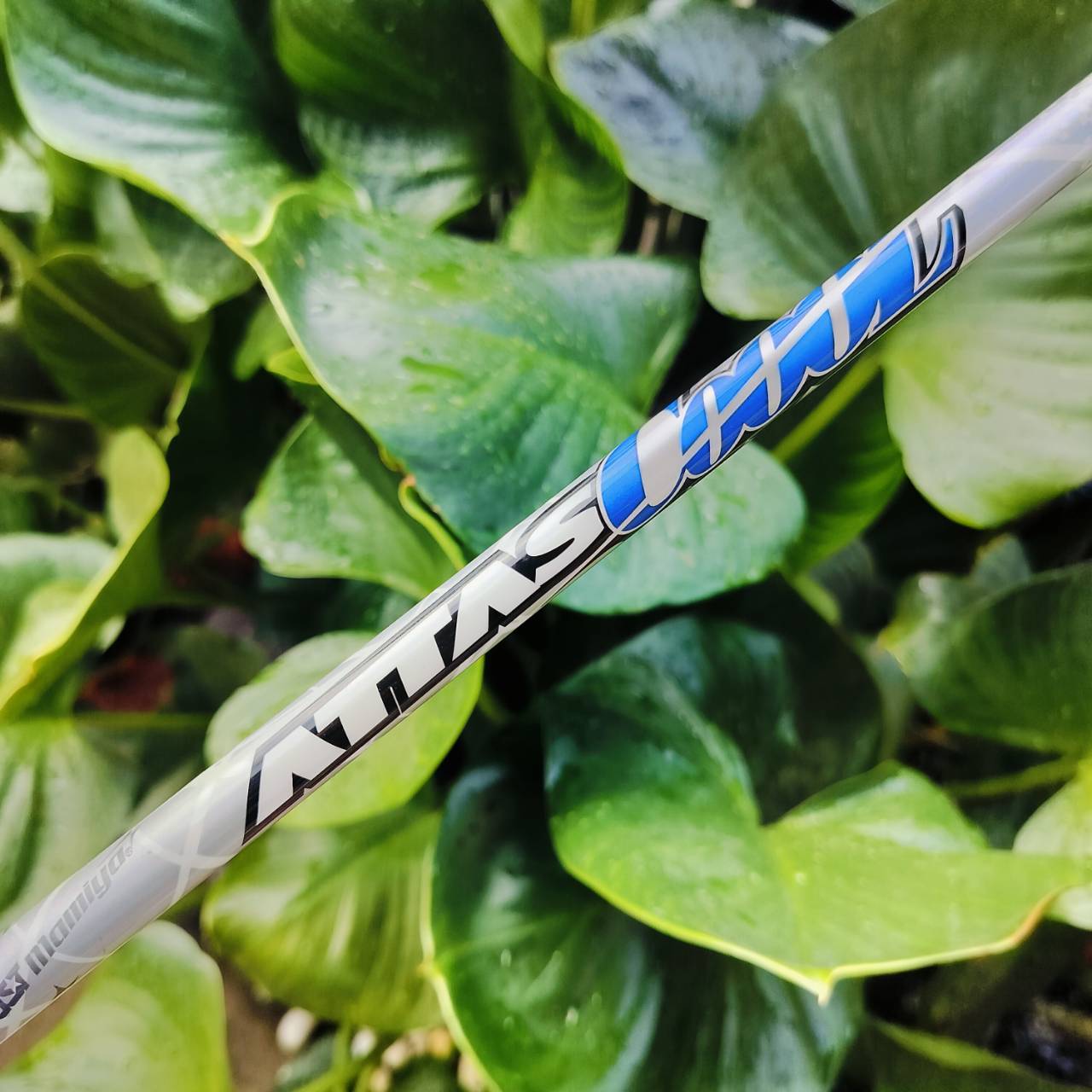 Driver Titleist 917 D2 องศา 10.5 ก้าน UST MAMIYA ATTAS COOL X ก้านแพงมากๆๆ คุ้มเกินคุ้มเลยค่ะ ไม้กอล์ฟพรีเมี่ยมมือสอง ของแท้ By NakaraLuxurious