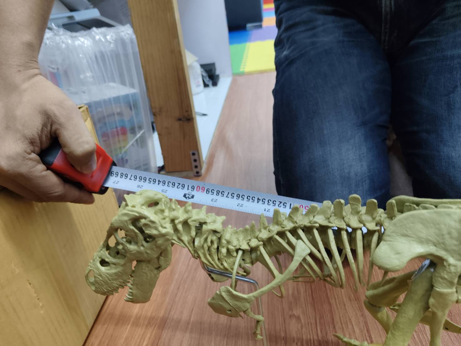 ไดโนเสาร์จำลอง โครงกระดูก ซากฟอสซิส ,โมเดลสัตว์ , สัตว์จำลอง, ของเล่นเสริมพัฒนาการ, ของเล่น, สื่อการสอน