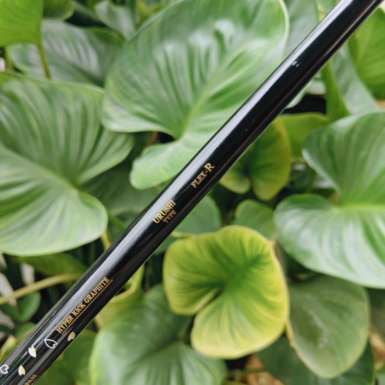 MUTSUMI HONMA PREMIUM MH606 (Iron 4α) – พลังแห่งความนุ่มที่ซ่อนอยู่ในดีไซน์ระดับพรีเมียม