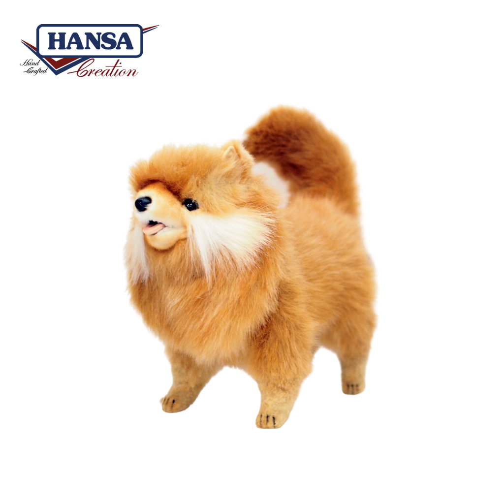 7018 Pomeranian Dog 28cm. H
