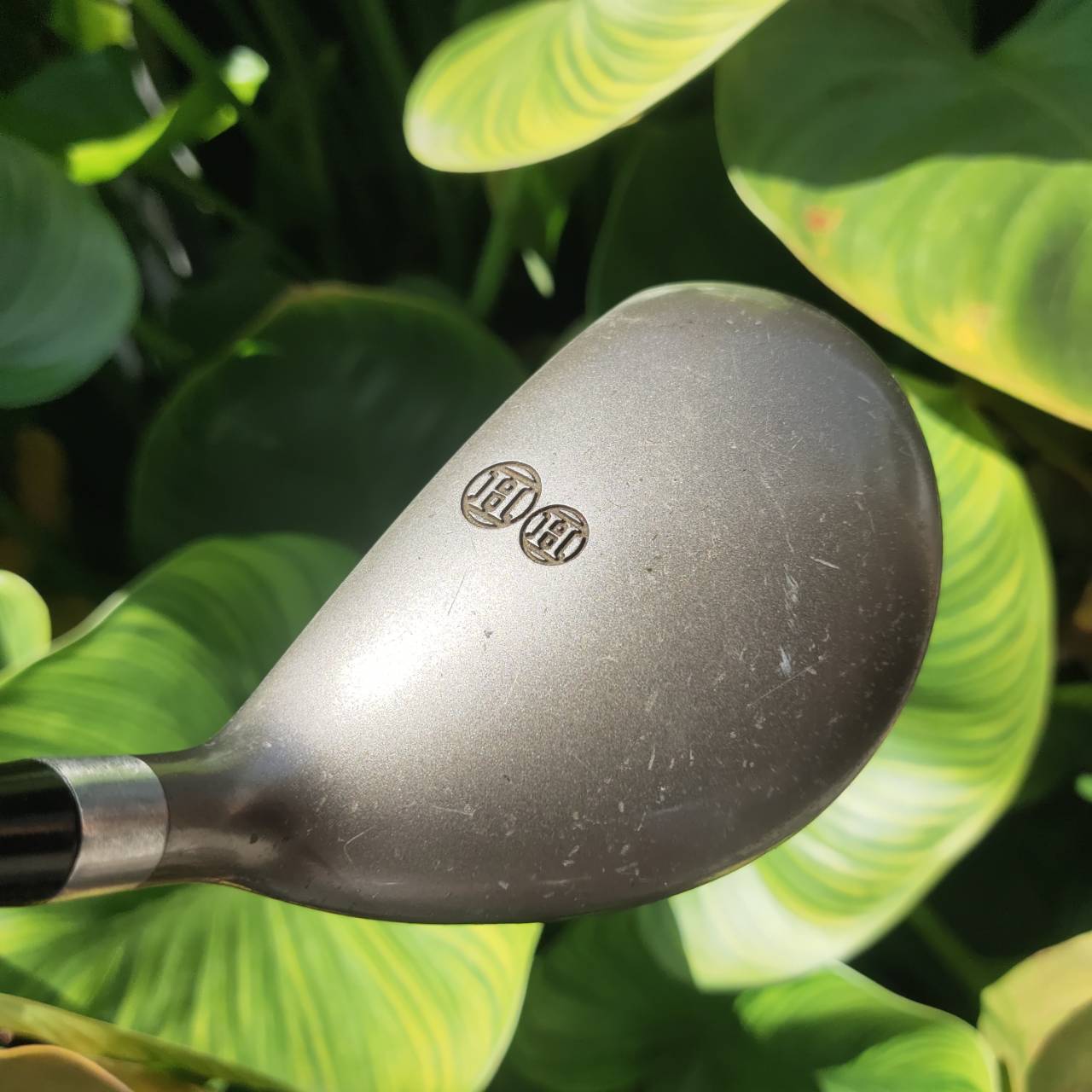 U17 Honma Twin Marks Dual Attack ก้าน DORIC III ★★ สองดาวสุดพรีเมี่ยม ตีดีระดับเทพเจ้า!