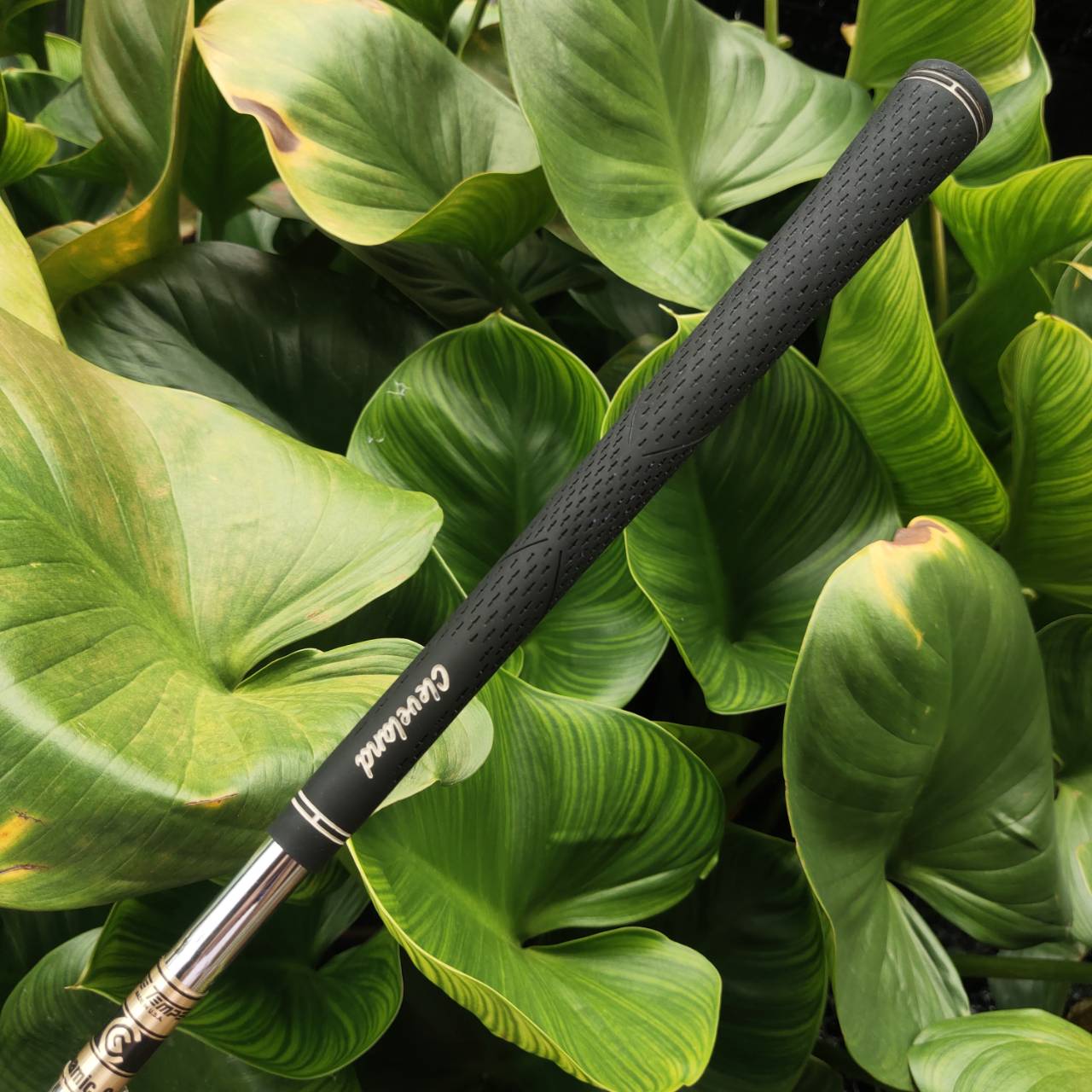 WEDGE CLEVELAND Cg12 องศา 56 ZIP GROOVE ร่องหน้าไม้สี่เหลี่ยม เหมือนกับซิป โหดมากสปินจัด