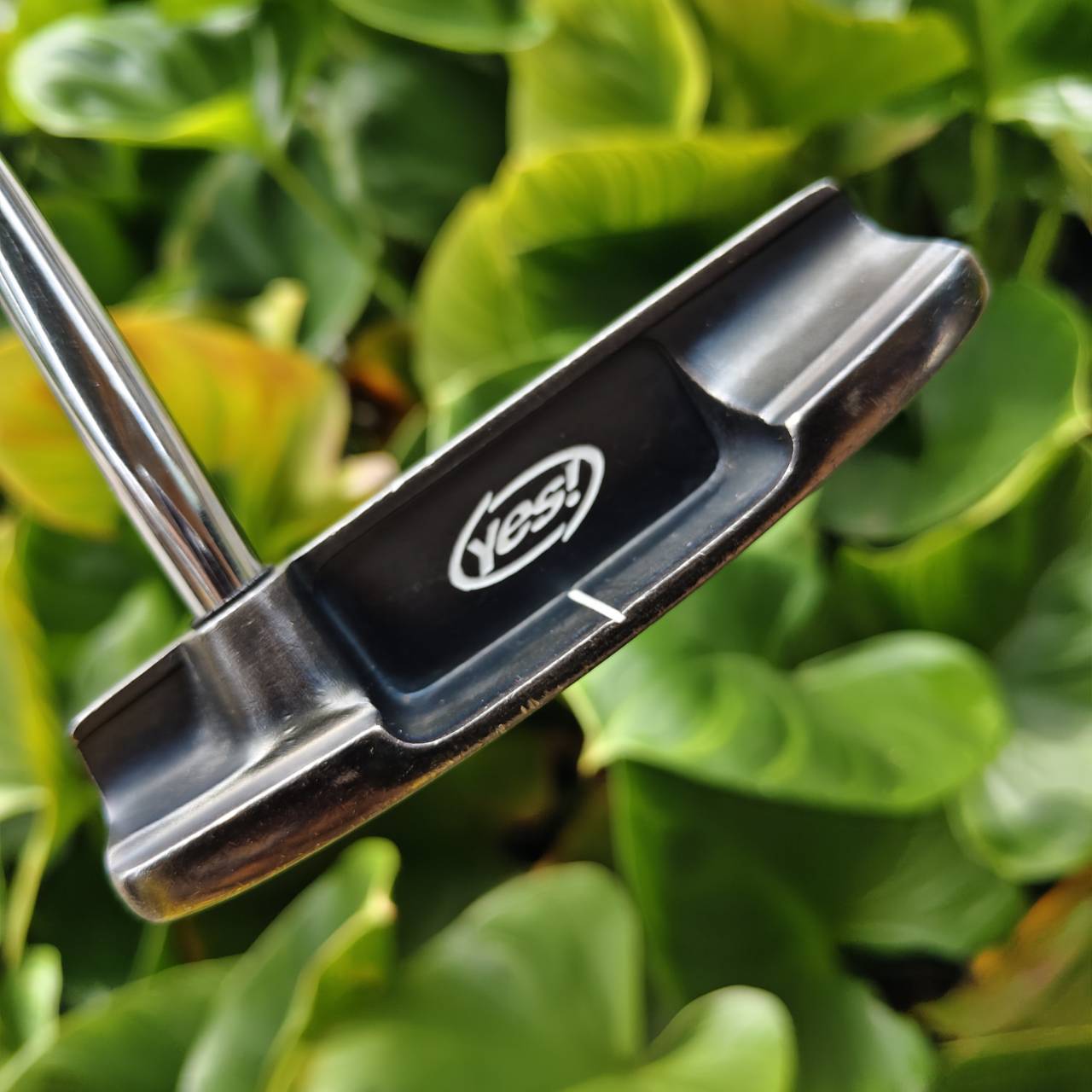 PUTTER YES! C-GROOVE TRACY ขึ้นชื่อเรื่อง “ลูกกลิ้งเกาะไลน์มากที่สุด” จากเทคโนโลยี C-Groove Face