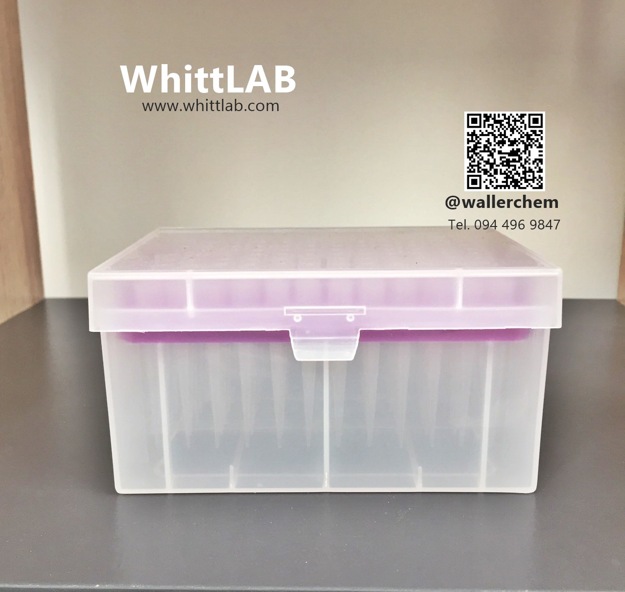 ปิเปตทิป 200uL 96ชิ้นต่อกล่อง (Pipette Tip Box)