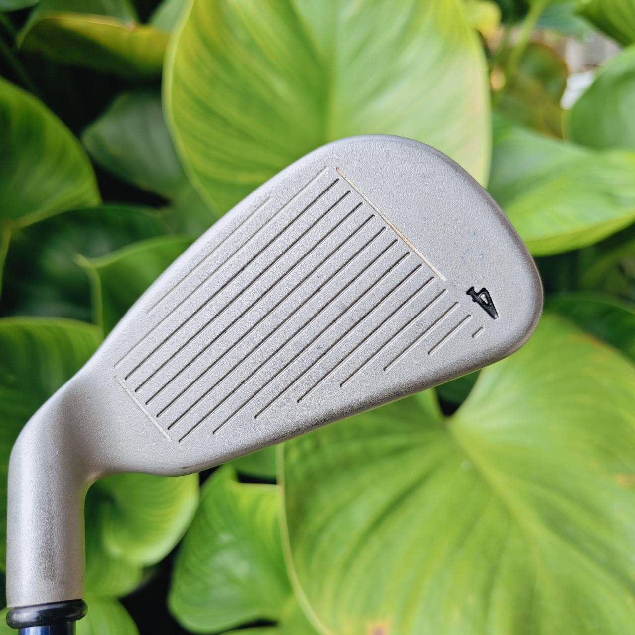 ชุดเหล็ก Callaway BIG BERTHA X-12 ก้าน RCH 99 Flex R แบบเจาะทะลุ (Bore-Thru)