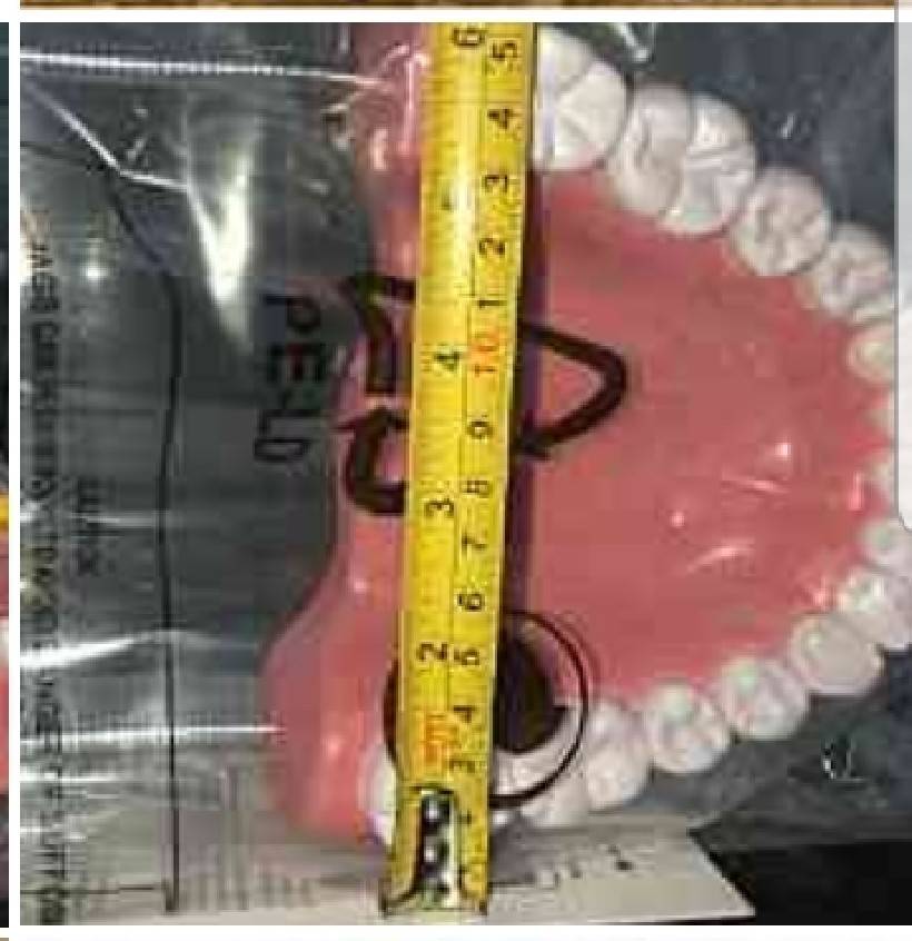 0209 ฟันจำลองขนาด 6.5" พร้อมแปรง โมเดล ฟันจำลอง พร้อมแปรง, ของเล่นเสริมพัฒนาการ, ของเล่นเด็ก, สื่อการสอน