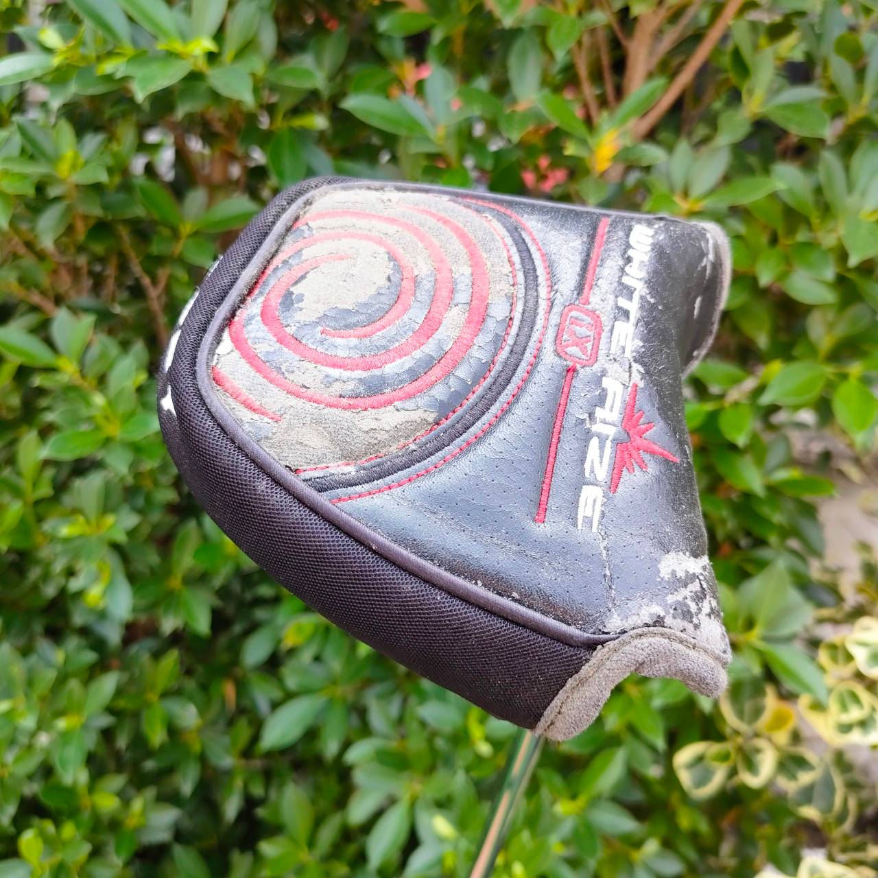 PUTTER ODYSSEY WHITE RIZE V-LINE 5 JP MODEL สวยๆ ความยาว 35 นิ้ว ครับ พัตเตอร์สุดยอดคุณคุณภาพ