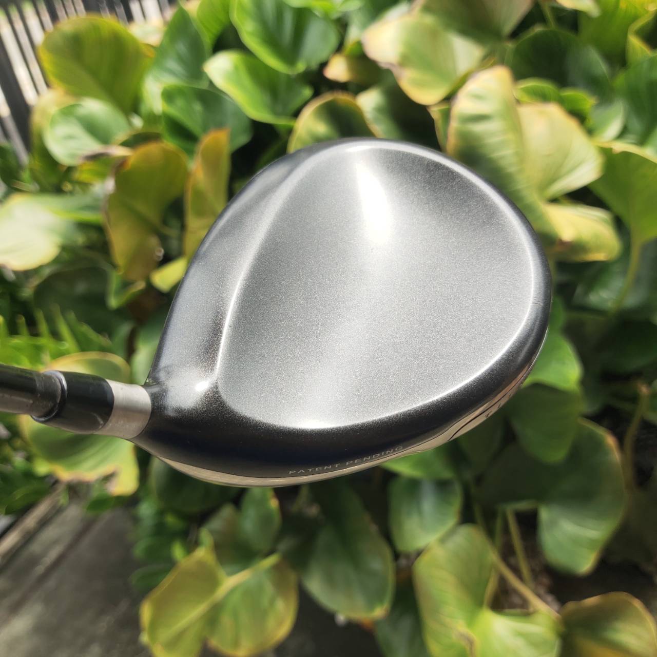 Driver Cleveland Hi-Bore กระดองปาด วาง CG ต่ำและลึก ช่วยให้ตีโดนง่าย ลูกออกเร็ว