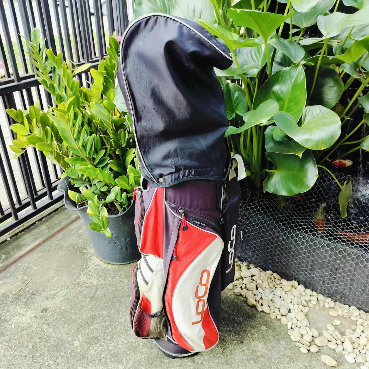 **ไม้กอล์ฟครบชุดมือซ้าย** MAXFLI XD EXTRA DISTANCE Driver ไทเทเนี่ยมหัวใหญ่ๆ ตีไกลๆ มีกับ UT องศา 19 เป็นตัวเล่นบน FW และมีเหล็กที่ตีง่ายมากๆ ไม้กอล์ฟพรีเมี่ยมมือสอง ของแท้ By NakaraLuxurious