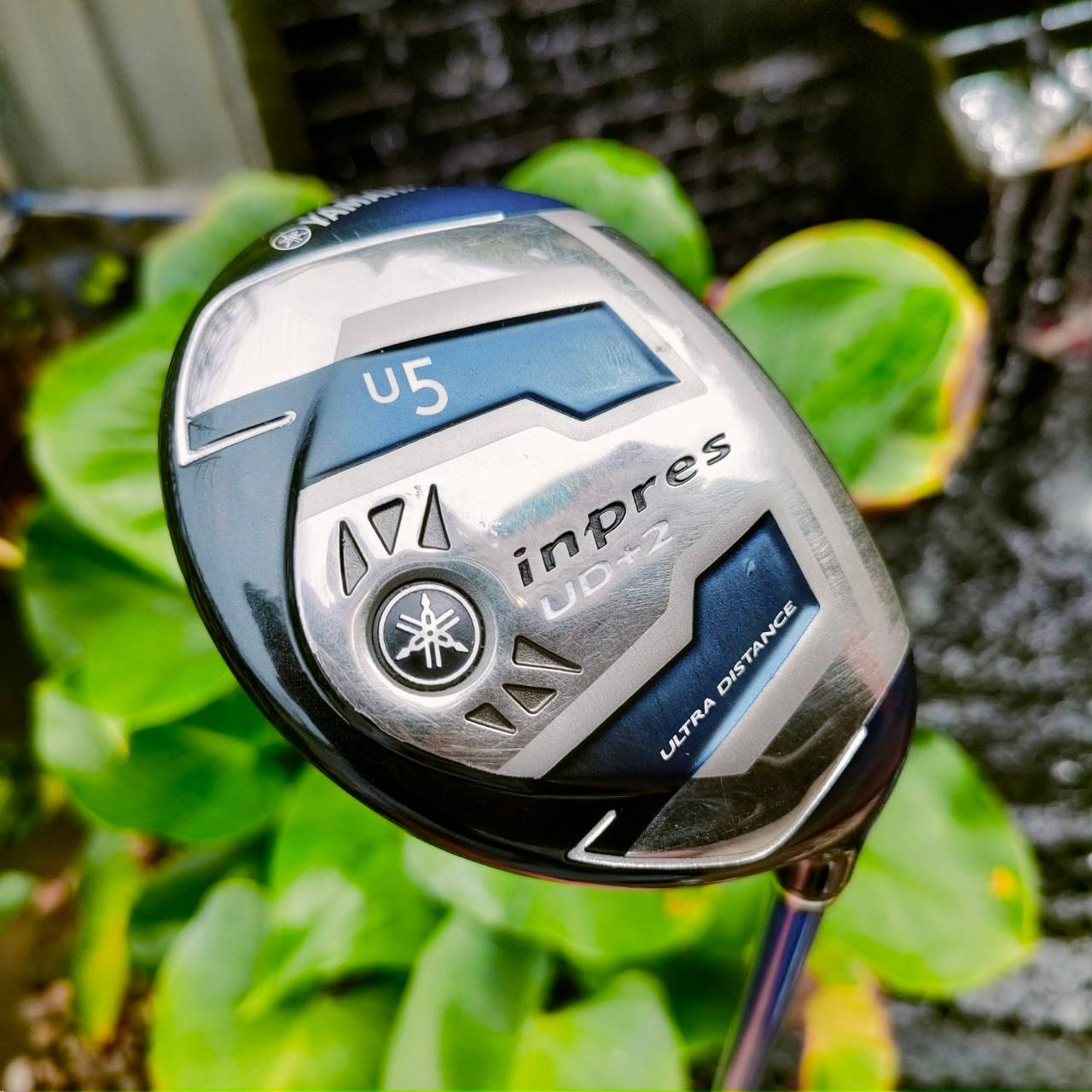 U5 Yamaha Inpres UD+2 ULTRA DISTANCE ตีไกลจริงๆ และตีโดนง่ายมากจนน่าตกใจค่ะ YAMAHA ของดีมากๆ ไม้กอล์ฟพรีเมี่ยมมือสอง ของแท้ By NakaraLuxurious