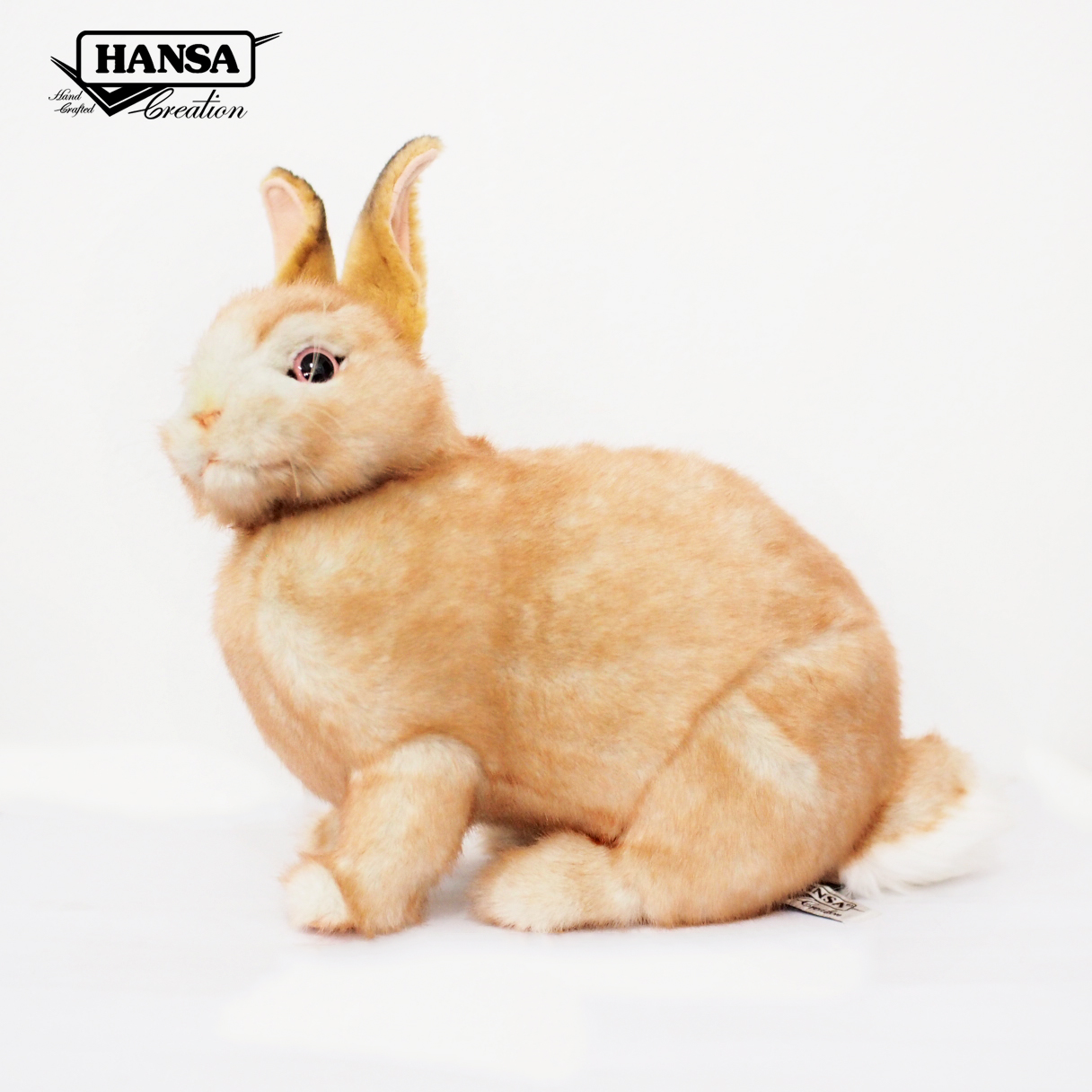 7797 Bunny (Cream) 35 cm.L