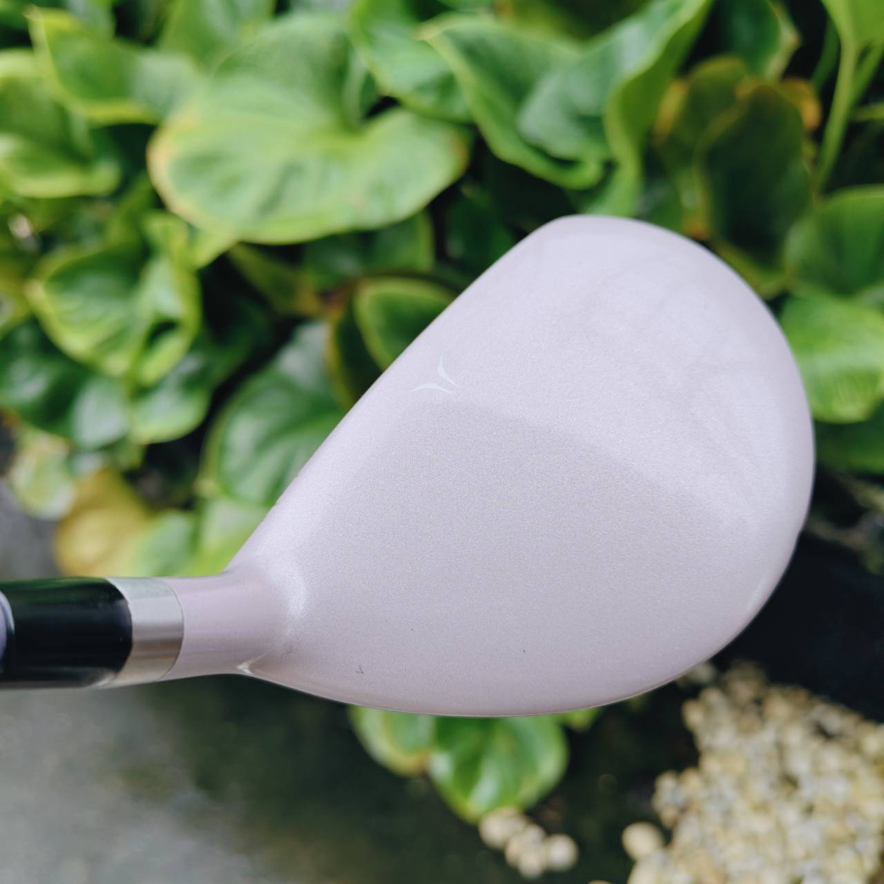 7W MIZUNO ZEPHYR – Each Gravity Design / Flex Lady 🌸