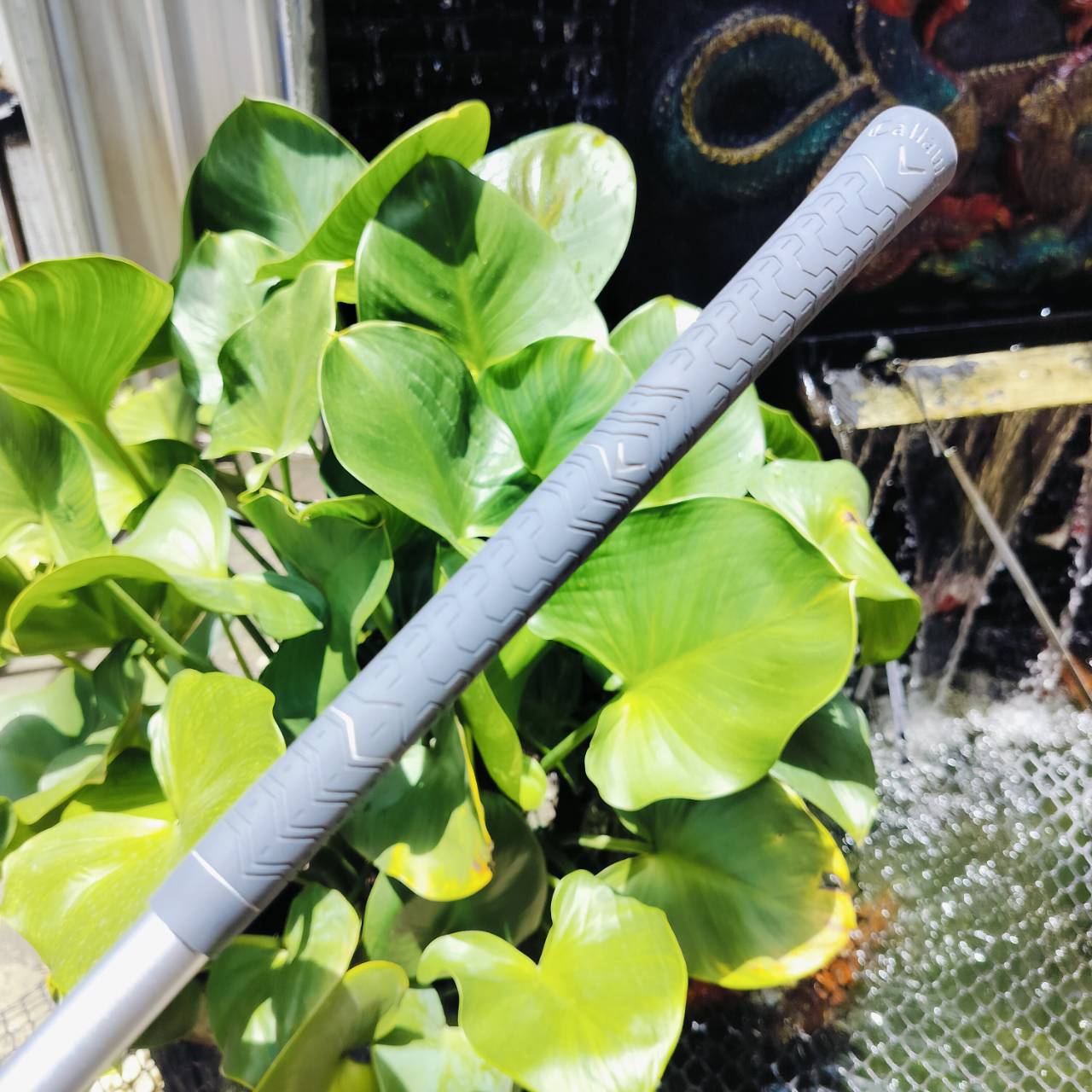 **ไม้กอล์ฟผู้หญิง** ชุดเหล็ก Callaway REVA เป็นสุดยอดไม้ผู้หญิงของ Callaway รุ่นใหม่กว่า Solaire ตีดีกว่ามาก ด้วยโฉมที่พรีเมี่ยมดูจริงจังมากกว่า วัสดุถูกอัพเกรดให้มีประสิทธิภาพมากขึ้น ไม้กอล์ฟพรีเมี่ยมมือสอง ของแท้ By NakaraLuxurious