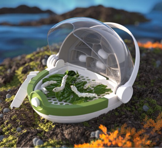 กล่องเลี้ยงหนอนไหม แบบพกพา ของเล่นเสริมพัฒนาการ, สื่อการสอนเด็กอนุบาล ,ของเล่นเสริมพัฒนาการ ของเล่นเด็ก พร้อมส่ง