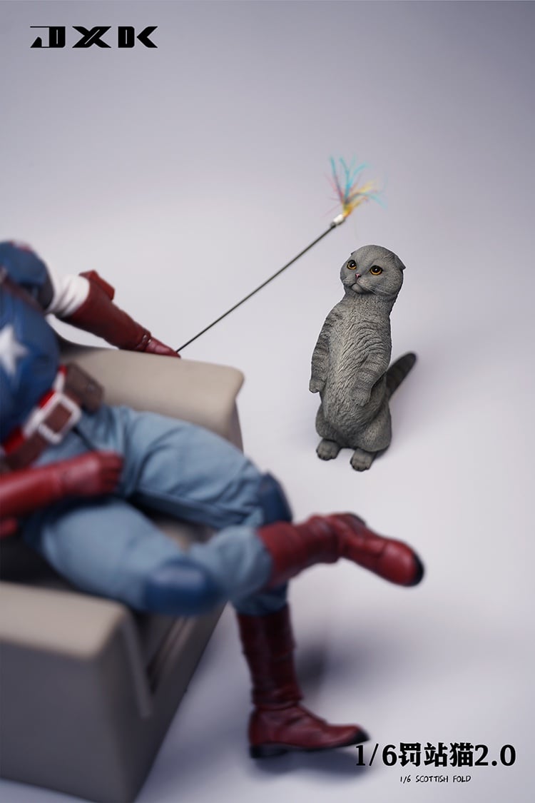 [สั่งจอง]JXK : Scottish Fold/Chckling/Duckling