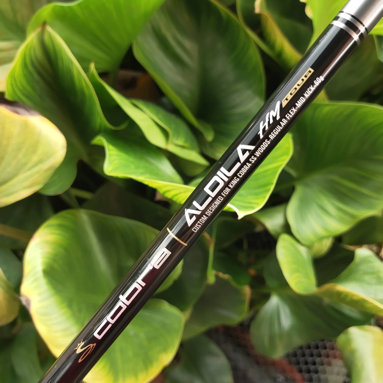 Driver KING COBRA SS BETA TITANIUM COR .825 หน้าเด้งมาก จุดสวีตสปอตกว้าง