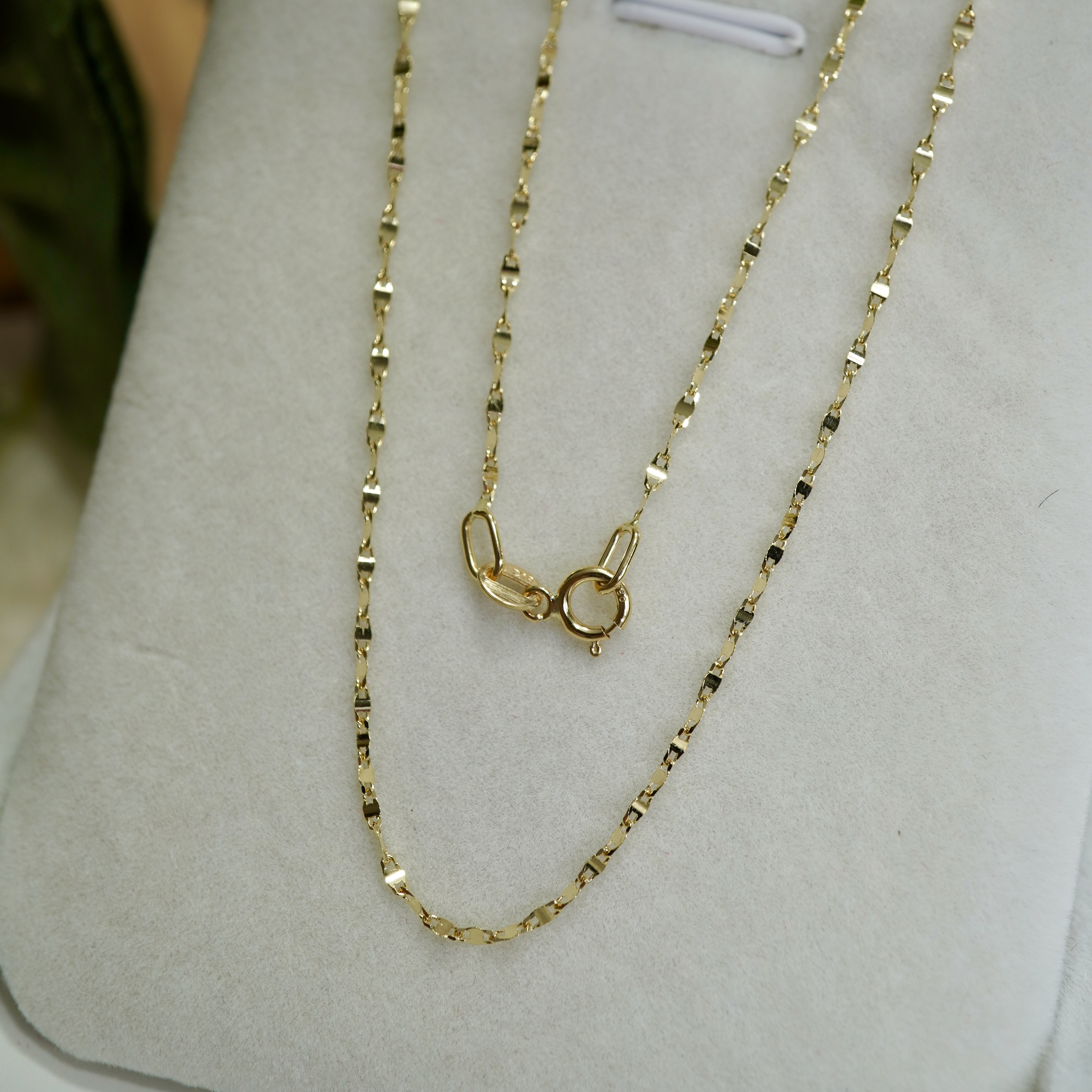 ลาย Moonlight^^