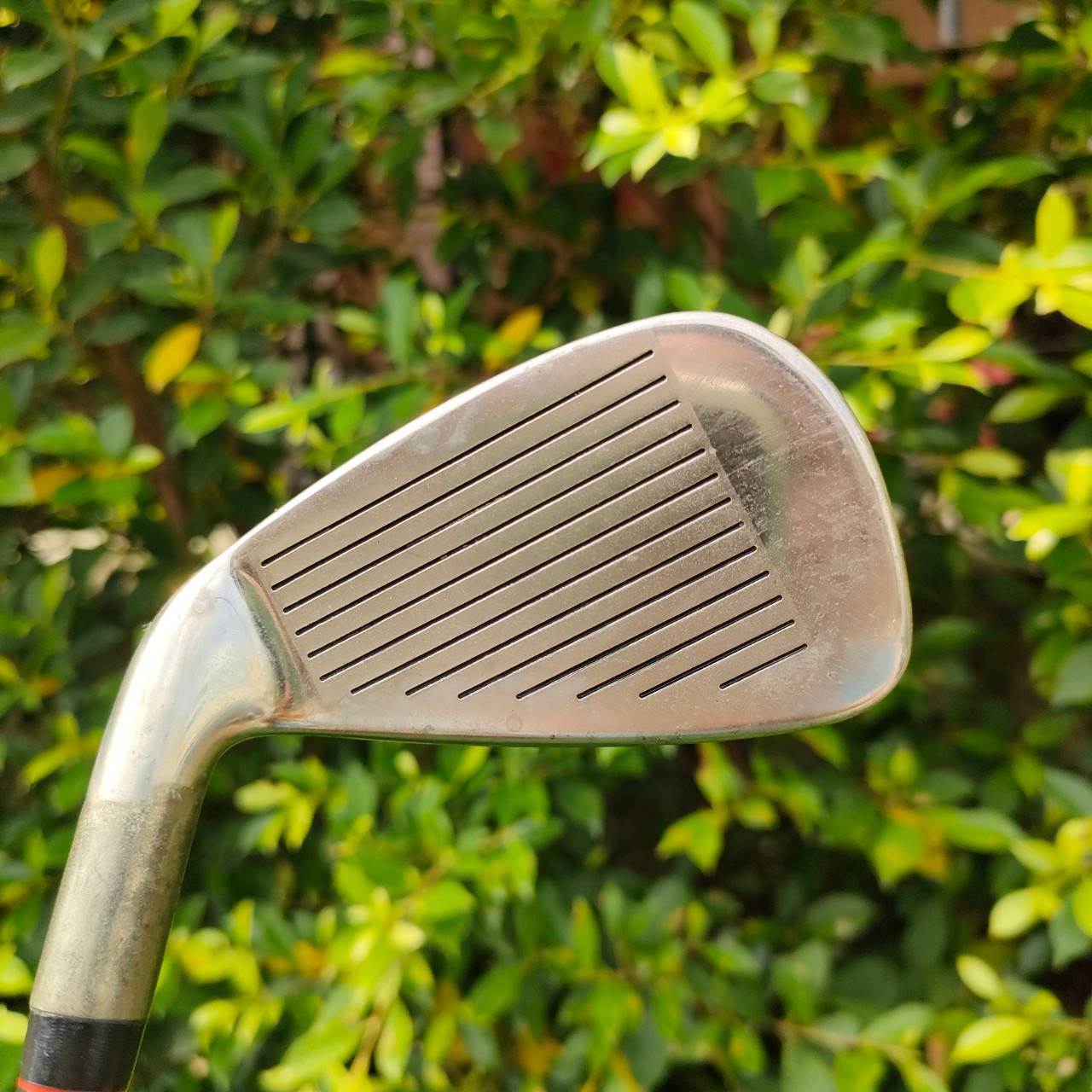 ** ไม้กอล์ฟสำหรับผู้หญิง ** เหล็ก 5 X5 FORGED ก้าน MEMORY ACTION FLEX L