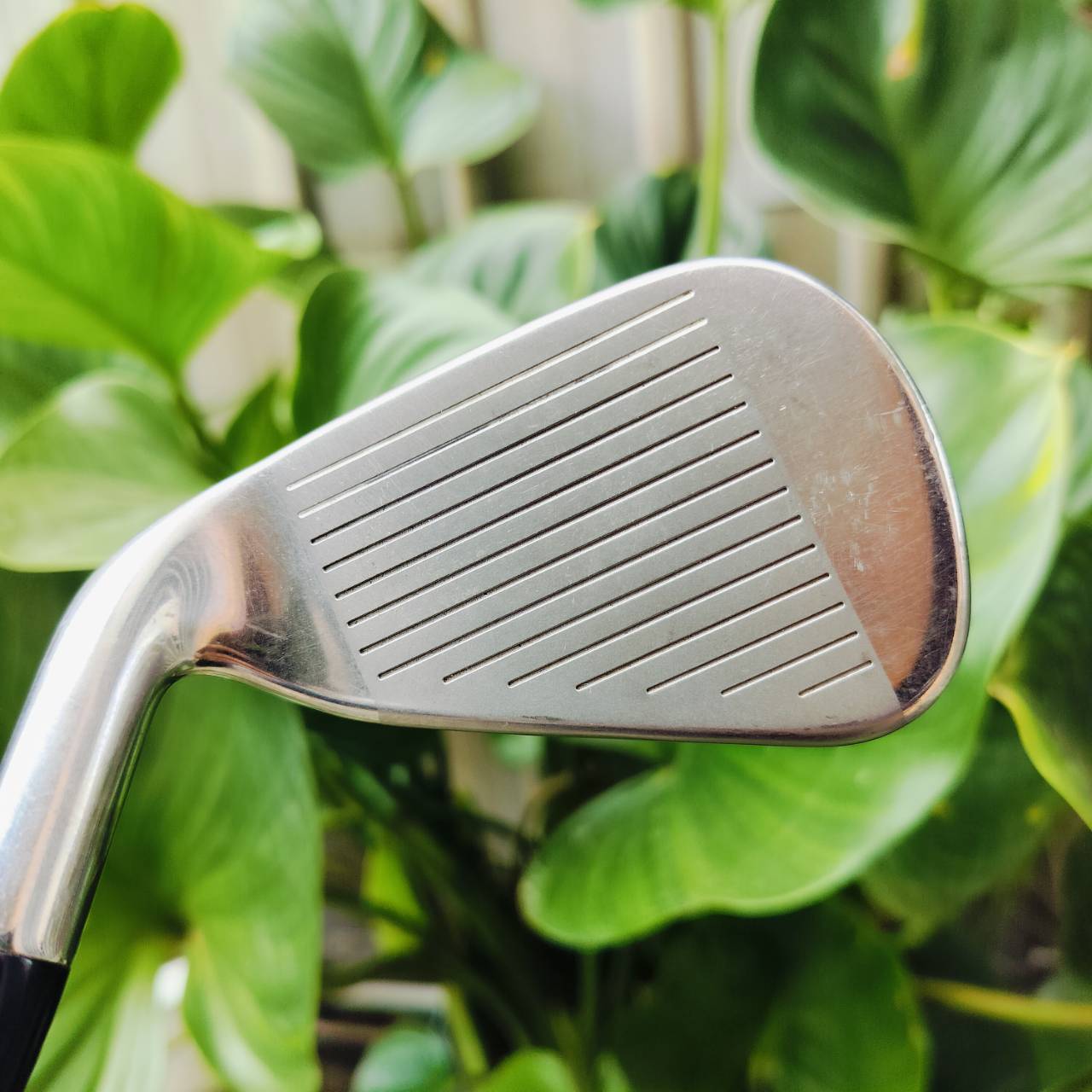 ชุดเหล็ก Callaway WAR BIRD มีเหล็ก 5 6 7 8 9 PW SW ค่ะ ก้านกราไฟต์ WAR BIRD FLEX R สภาพสวยมาก เดิมๆทุกชิ้นเลยค่ะ ไม้กอล์ฟพรีเมี่ยมมือสอง ของแท้ By NakaraLuxurious