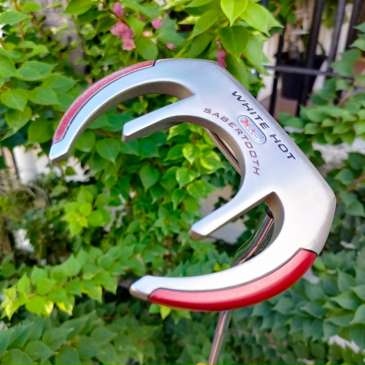 PUTTER ODYSSEY WHITE HOT XG SABERTOOTH ความยาว 34 นิ้ว กริฟ SUPER STROKE เเบบใหญ่