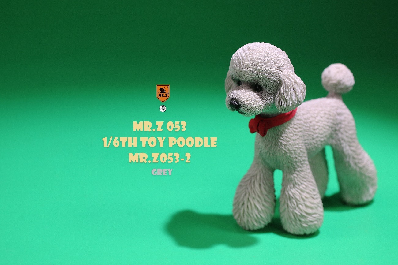 [สั่งจอง]Mr.Z MRZ053 animal model 1/6 : Toy Poodle