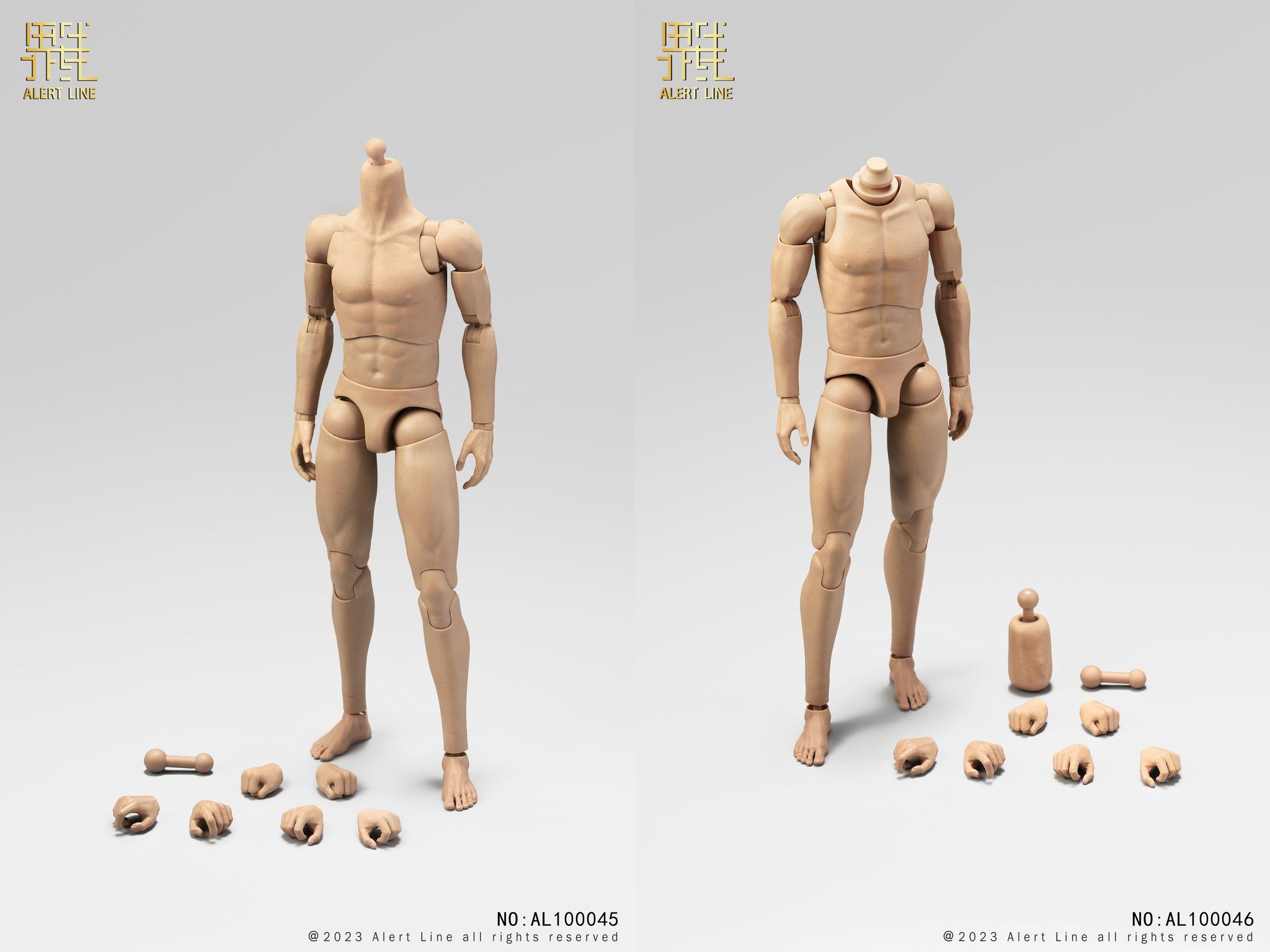 [สั่งจอง] Alert Line 1/6 : Male Body