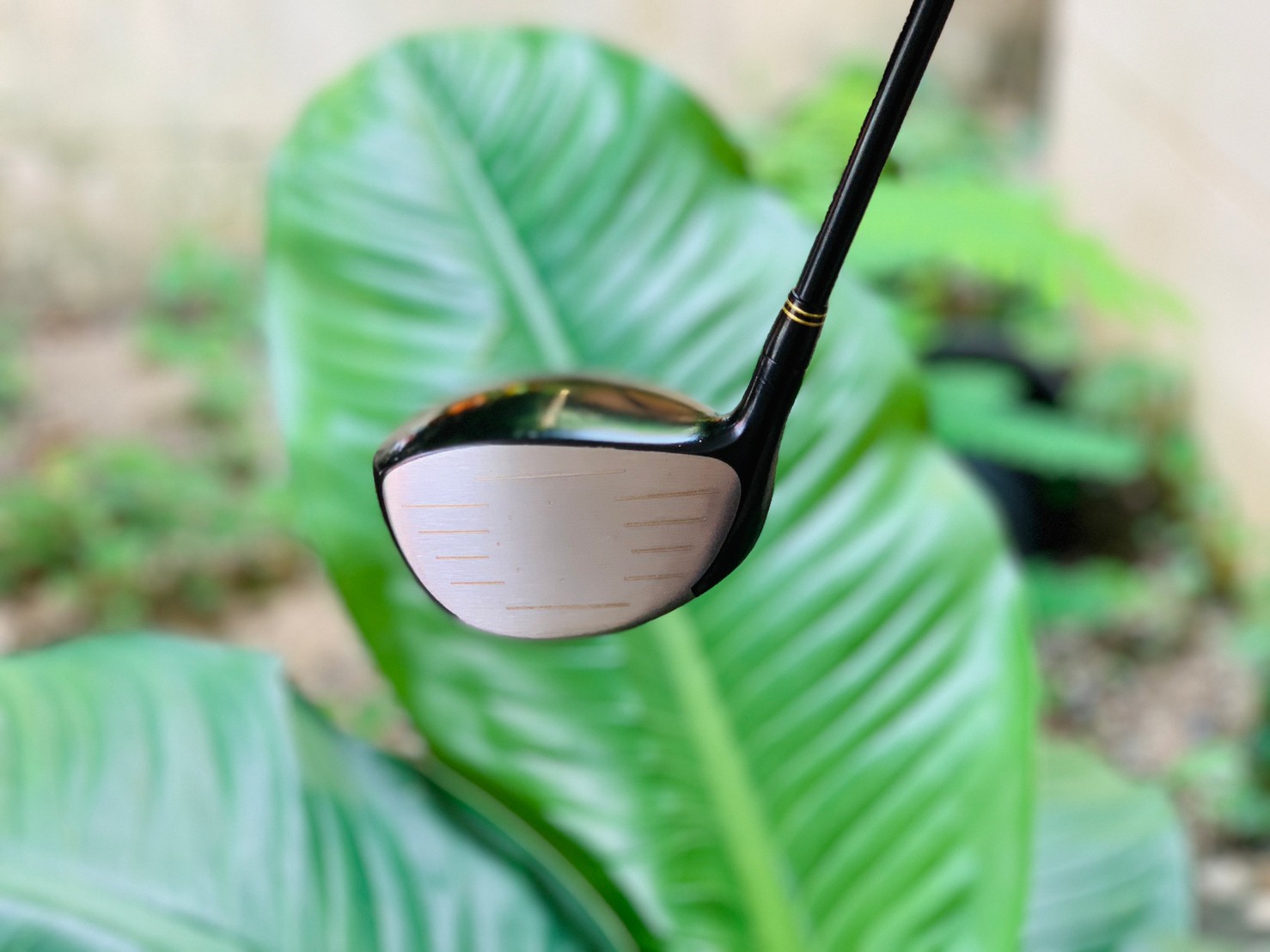 DRIVER SHOGUN FORGED TITANIUM