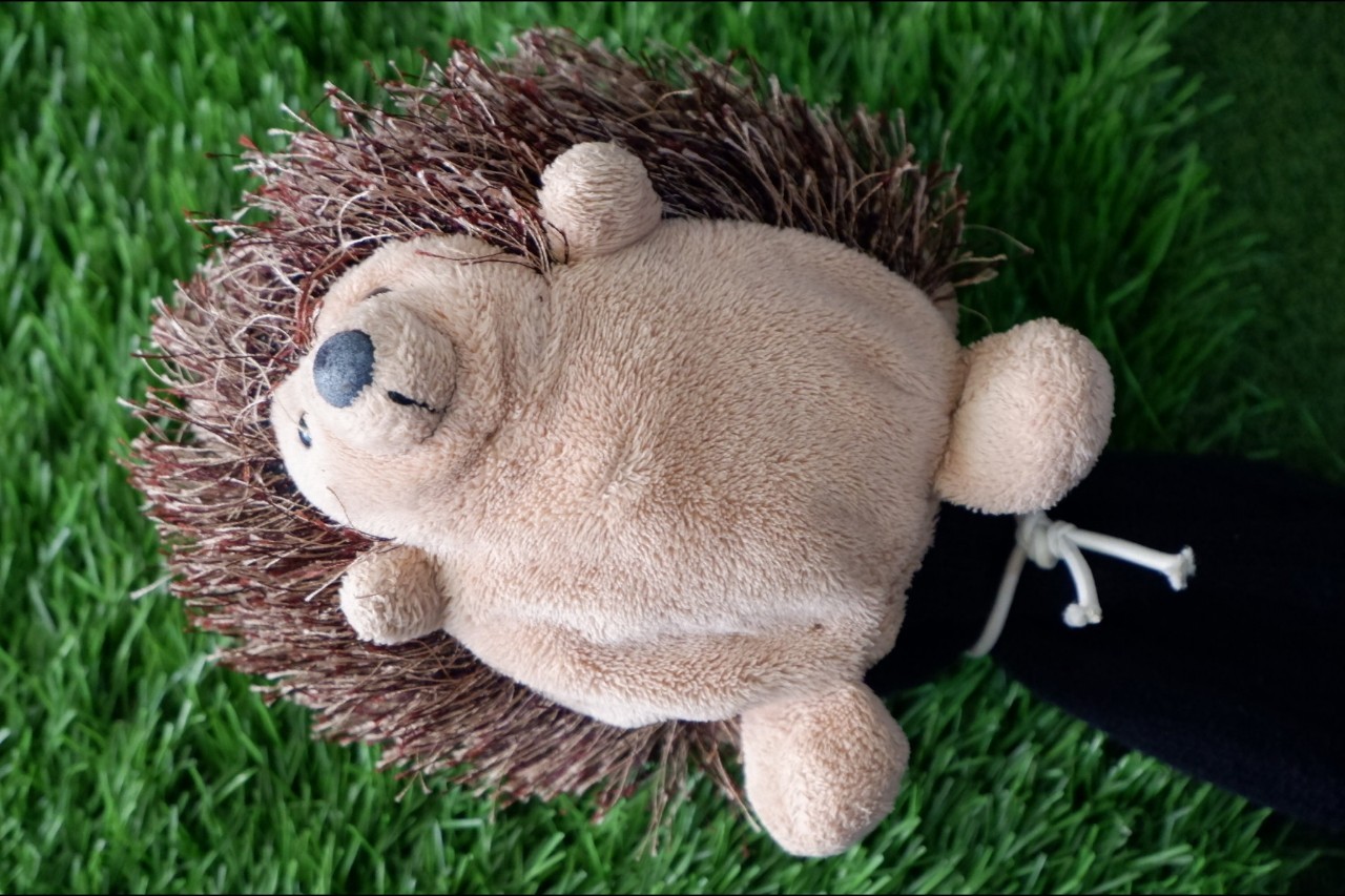 FAIRWAY 3 TAYLORMADE SLDR