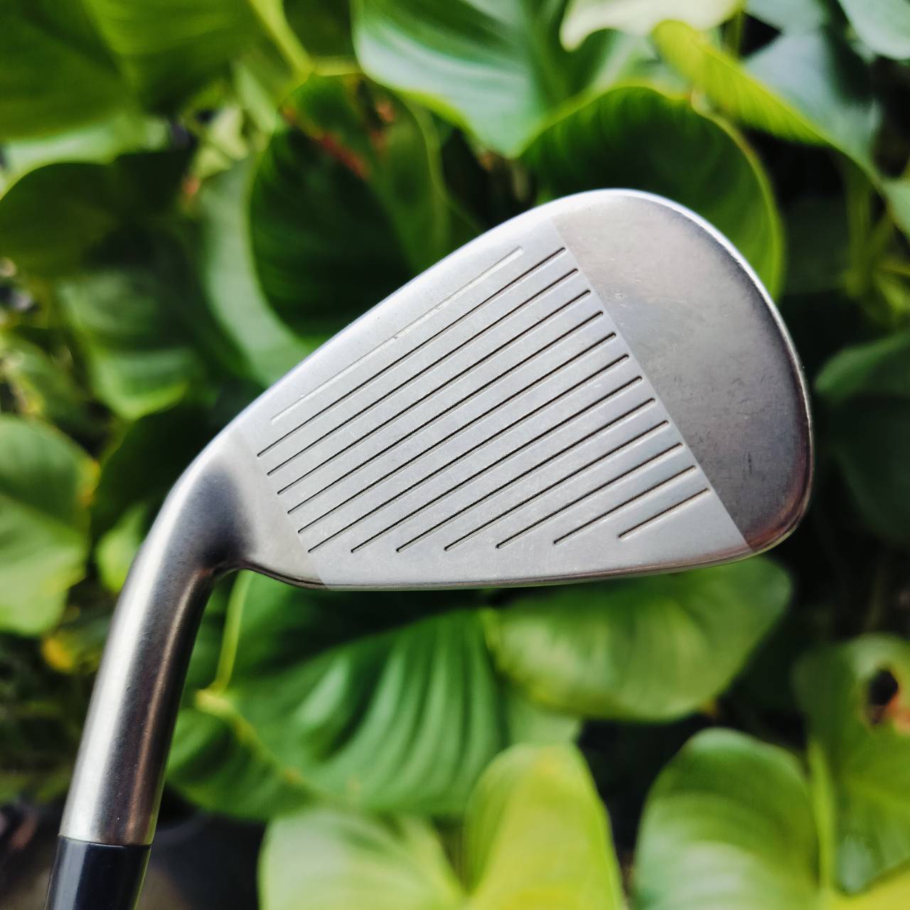 เหล็ก 6 Taylormade SPEEDBLADE ก้าน VEROX T FLEX R ก้านดีมาก กริพเปลี่ยน GOLF PRIDE อย่างดี ไม้กอล์ฟพรีเมี่ยมมือสอง ของแท้ By NakaraLuxurious