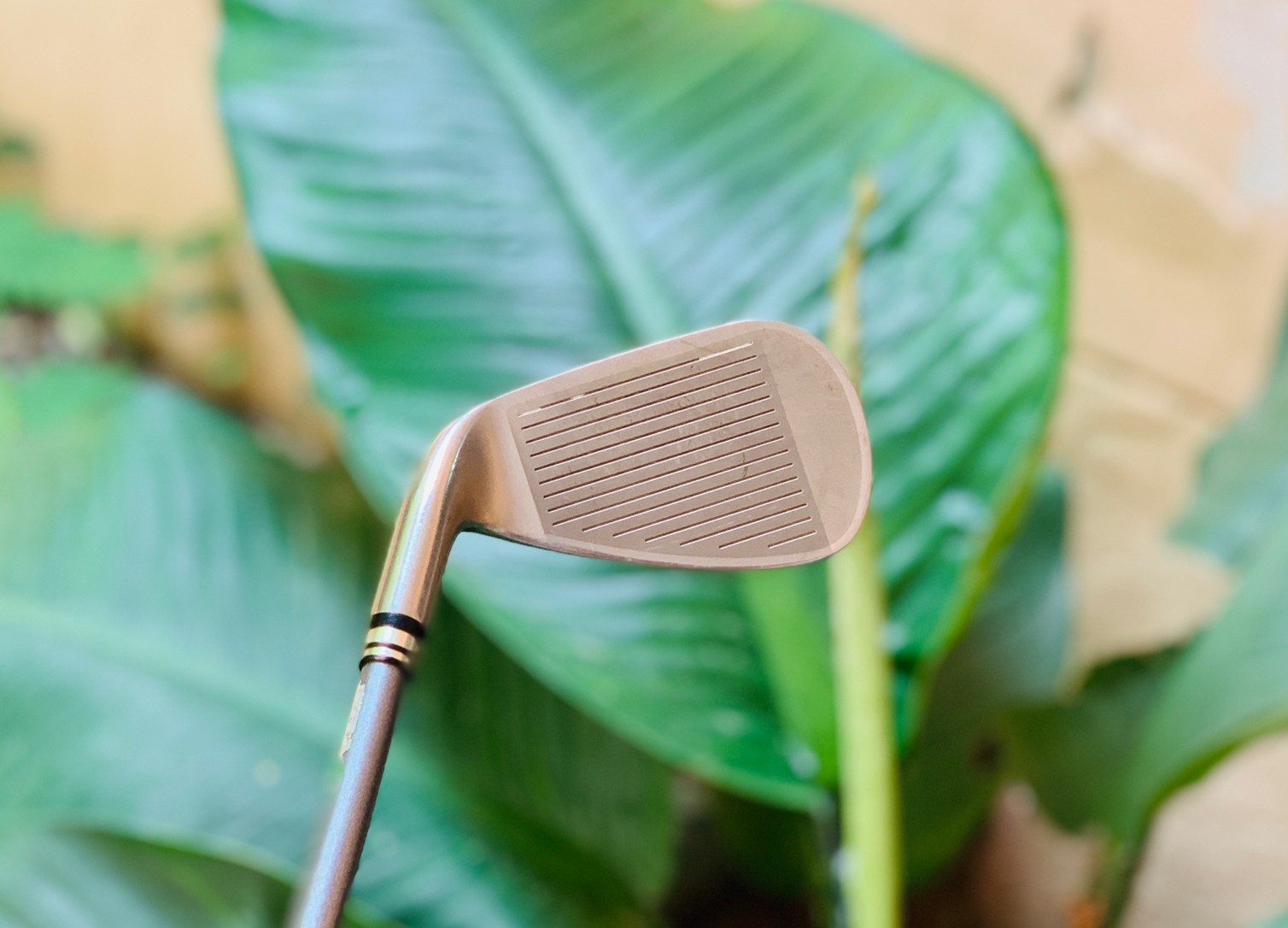 ชุดเหล็ก XXIO MP700