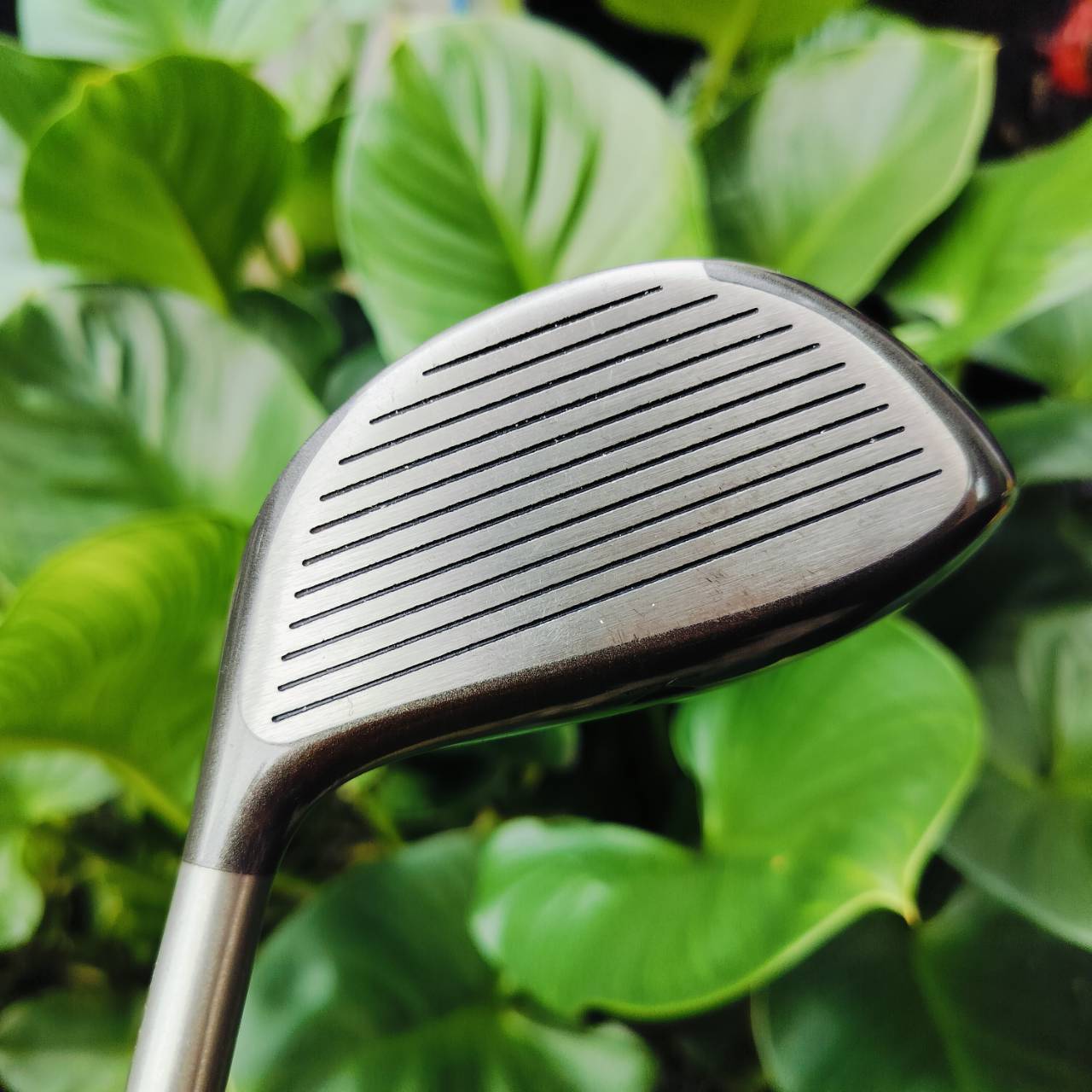 Driver titleist 975D องศา 9.5 ก้าน GRAFALLOY PROLITE FLEX R ก้านดีมากๆ ตีง่ายๆ เร่งสปีดได้ดี ไม้กอล์ฟพรีเมี่ยมมือสอง ของแท้ By NakaraLuxurious