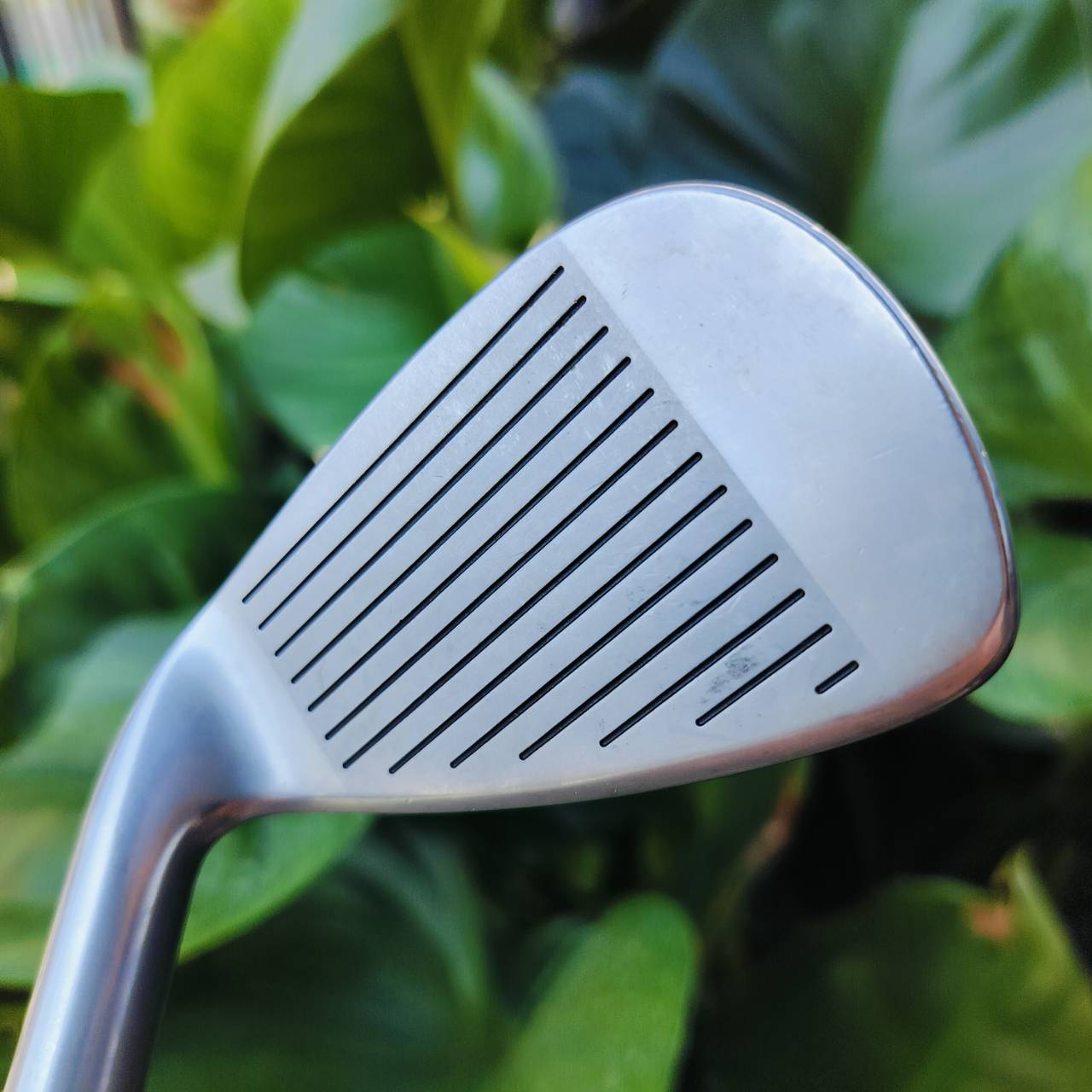 ***ไม้กอล์ฟผู้หญิงพรีเมี่ยม*** ชุดเหล็ก HONMA TM 504C ก้าน ARMRQ 846 FLEX L **1ดาว** เป็นก้านถักพรีเมี่ยมสูงสุดของญี่ปุ่น ไม้กอล์ฟพรีเมี่ยมมือสอง ของแท้ By NakaraLuxurious