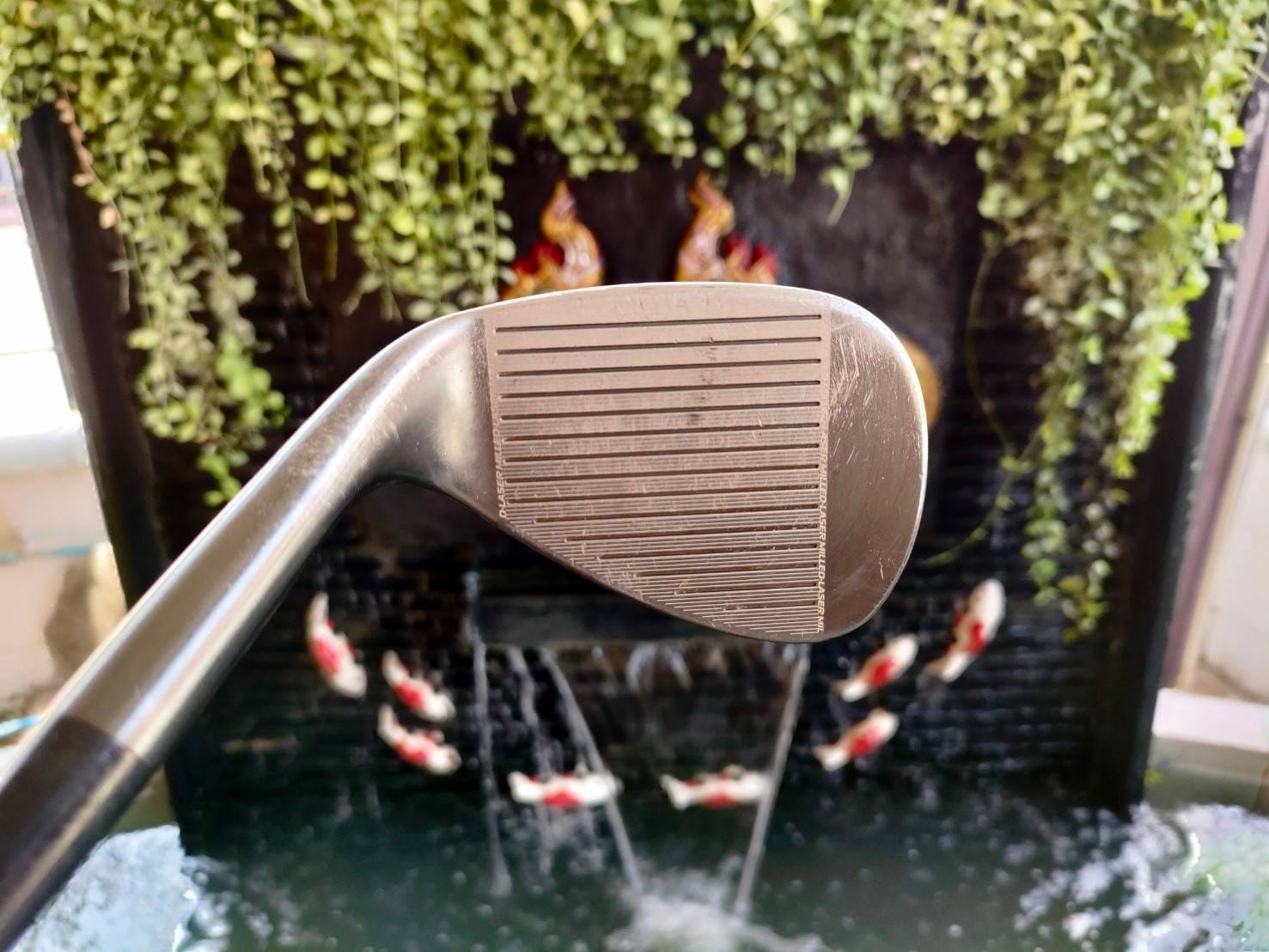 WEDGE CLEVELAND CG11