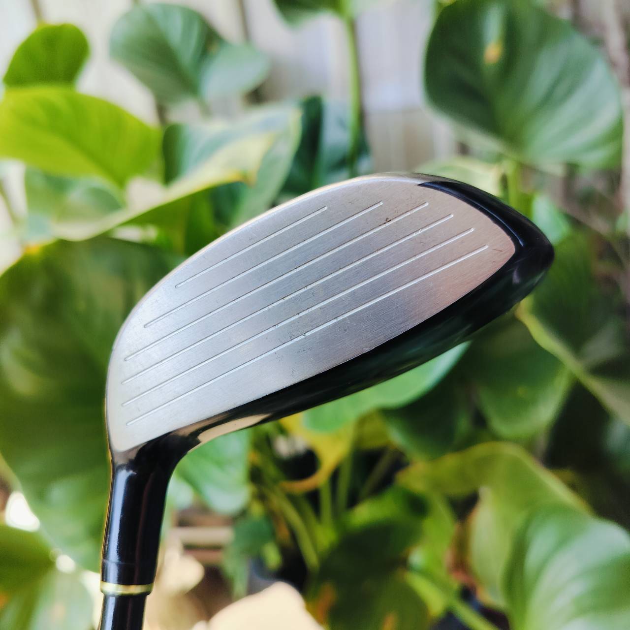 FW5 POWER TORNADO D-MAX F ก้าน D-MAX FLEX S MADE IN JAPAN วัสดุพรีเมี่ยมญี่ปุ่น ไม้กอล์ฟพรีเมี่ยมมือสอง ของแท้ By NakaraLuxurious