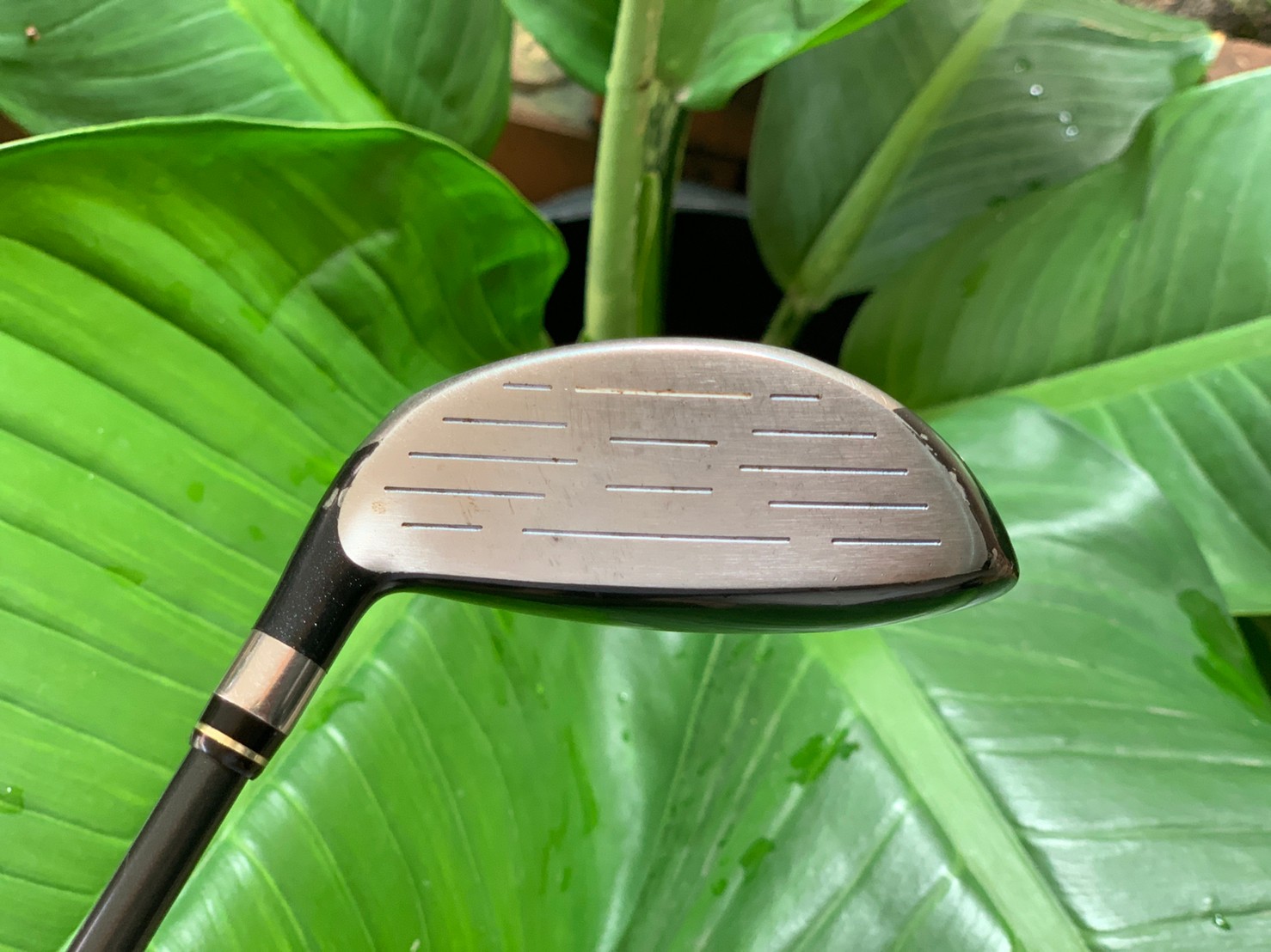 FAIRWAY 7 PRGR 513 ER