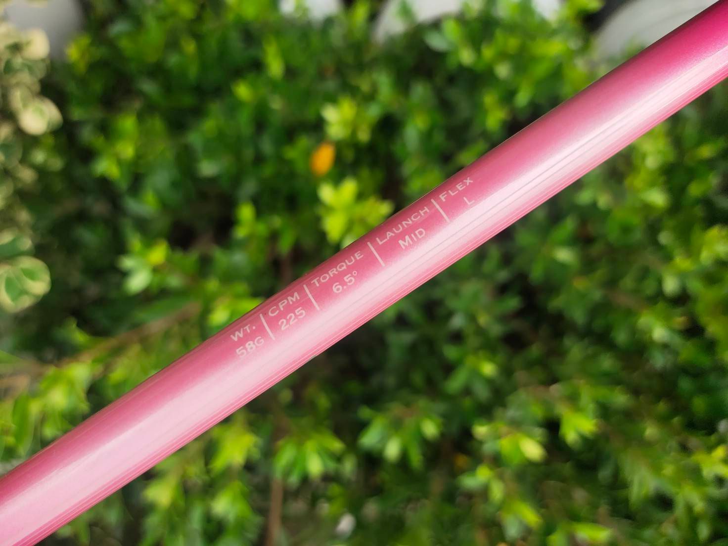 Driver KASCO DIMPALS LADY องศา 12 ก้าน FLEX LADY ไม้กอล์ฟสำหรับผู้หญิง