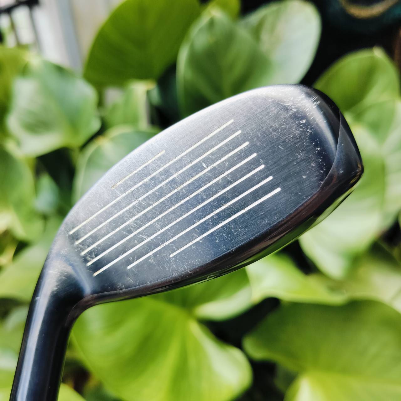 **ไม้กอล์ฟผู้หญิง** U5 Callaway REVA เป็นสุดยอดไม้ผู้หญิงของ Callaway รุ่นใหม่กว่า Solaire ตีดีกว่ามาก ไม้กอล์ฟพรีเมี่ยมมือสอง ของแท้ By NakaraLuxurious