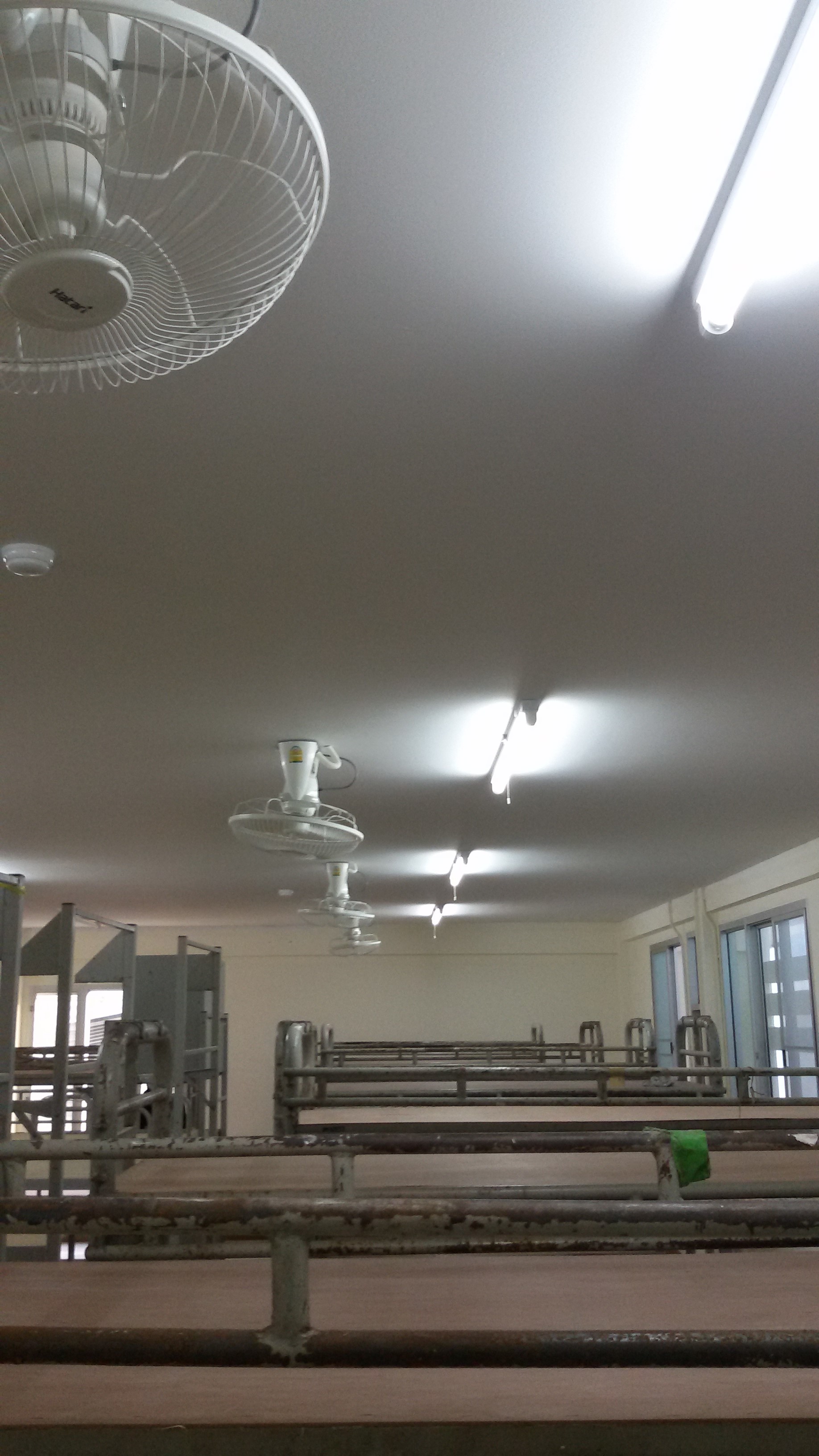 งานติดตั้ง เดินไฟ ทั้งระบบ มศว.