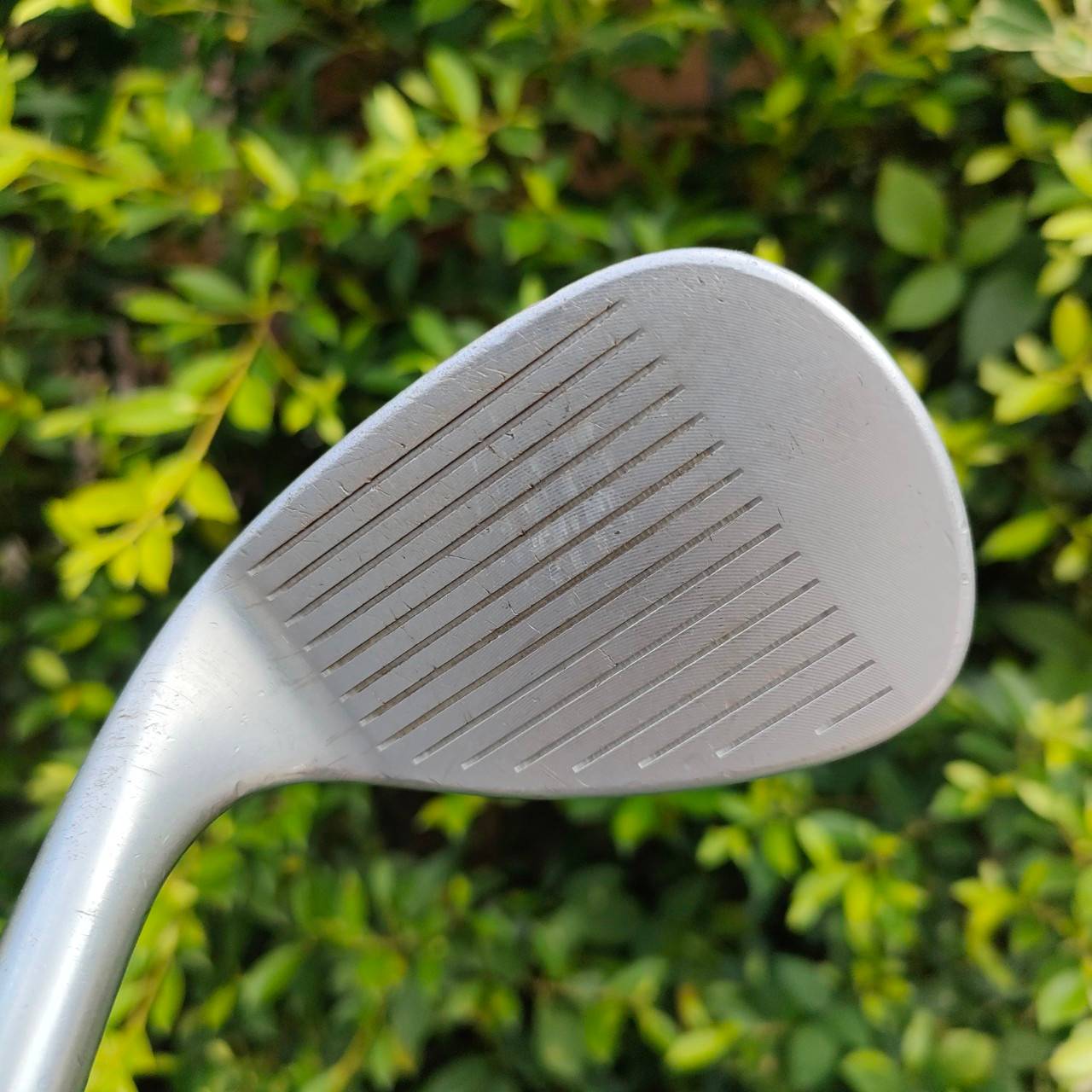 WEDGE TITLEIST SM54 BV VOKEY DESIGM องศา 54 ก้าน DYNAMIC GOLD S200