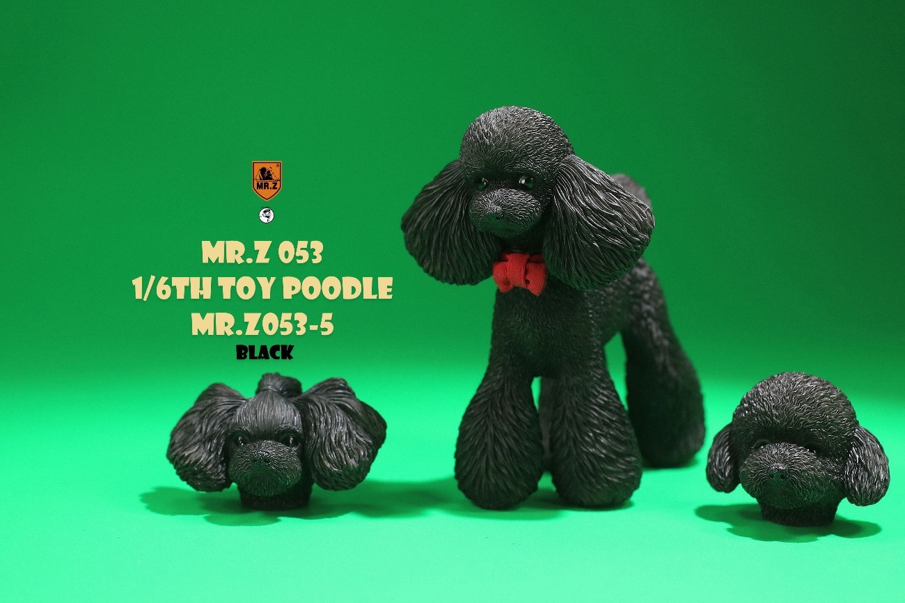 [สั่งจอง]Mr.Z MRZ053 animal model 1/6 : Toy Poodle
