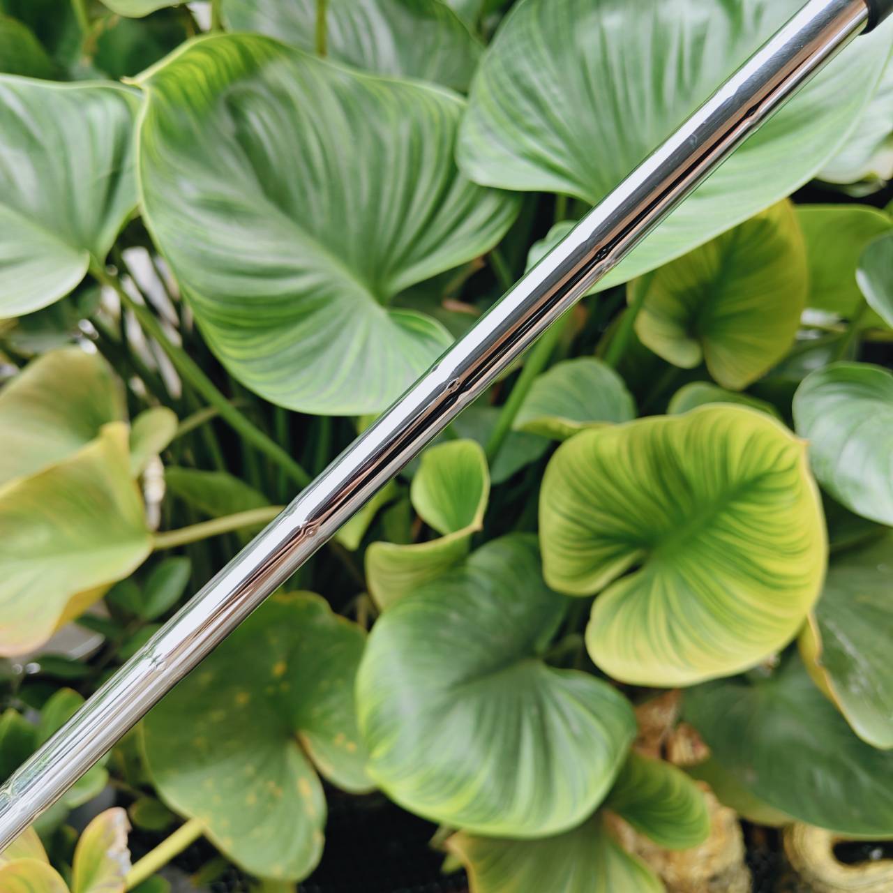 เวดจ์งานคราฟขั้นเทพจากแดนซามูไร – Yosetaro Craft JP-Forged Wedge องศา 52