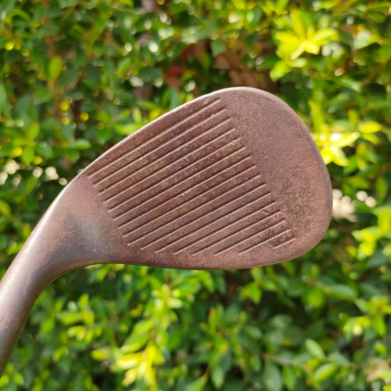 WEDGE CLEVELAND REG 588 องศา 56 ก้าน DYNAMIC GOLD FLEX WEDGE
