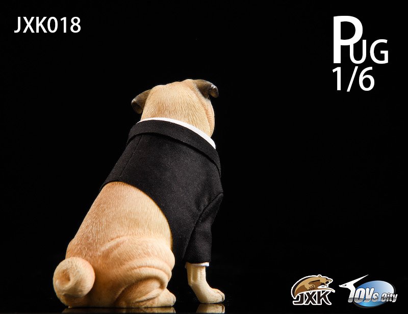 [สั่งจอง]JXK 1/6 JXK018 pug in Black-FRANK