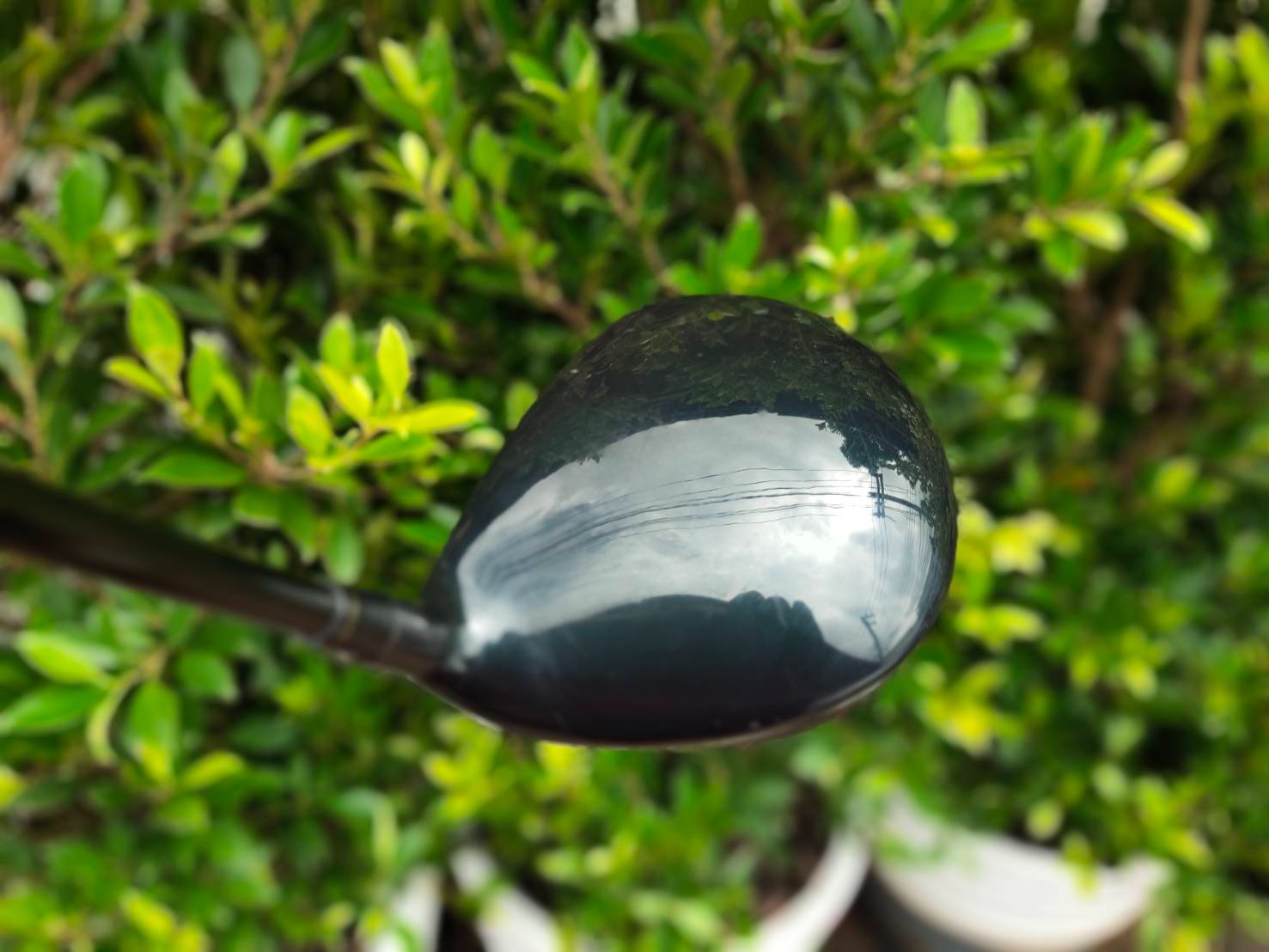 Driver T-ZOOM DEEPFACE หน้าเด้ง SUPER AS ROLL FACE