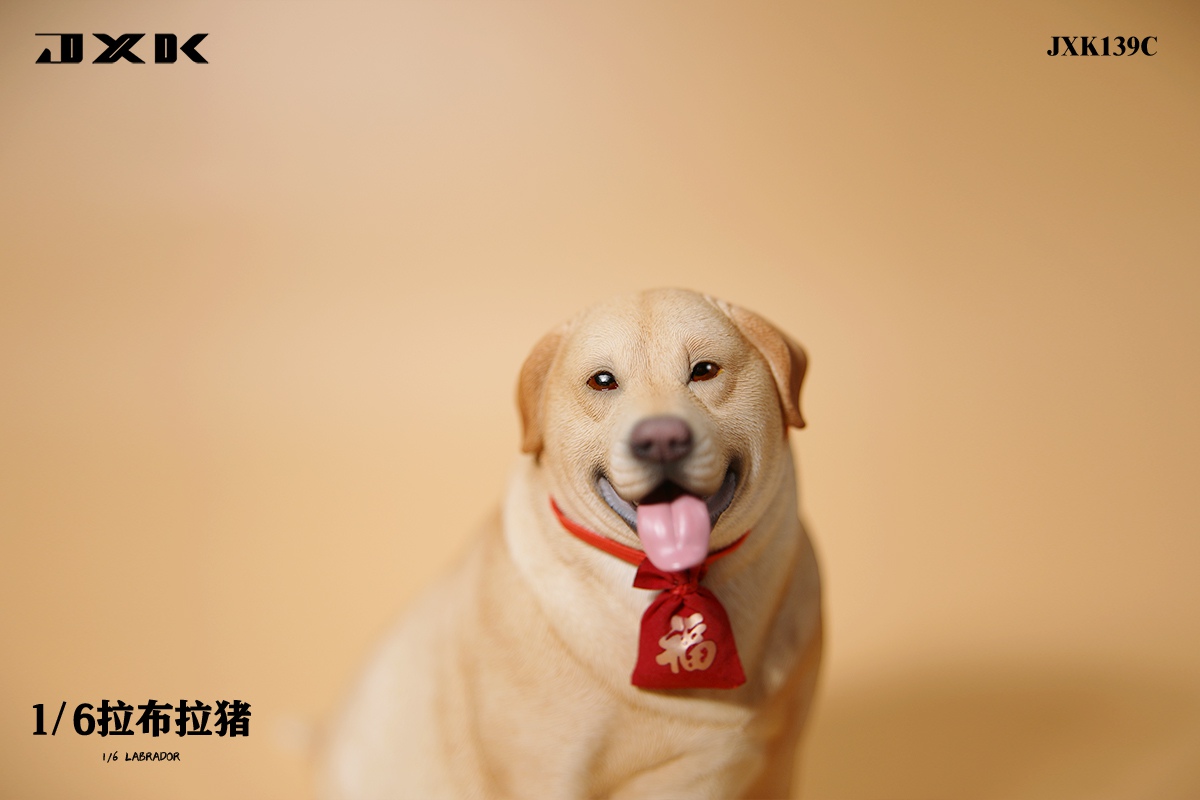 [สั่งจอง]JXK 1/6 : Labrador