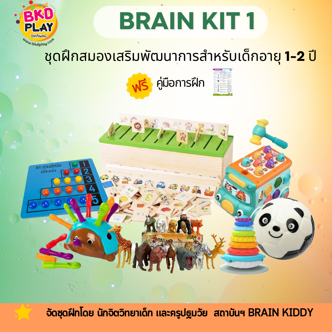 ชุดฝึกสมองเสริมพัฒนาการ 1-2 ขวบ, Brain Kit 1 สำหรับเด็กอายุ 1-2 ปี กระตุ้นพัฒนาการ โรงพยาบาล สื่อการสอน โรงเรียน