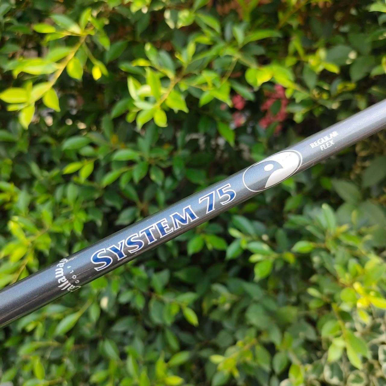 เหล็ก 5 CALLAWAY HAWK EYE ก้าน SYSTEM 75 FLEX R