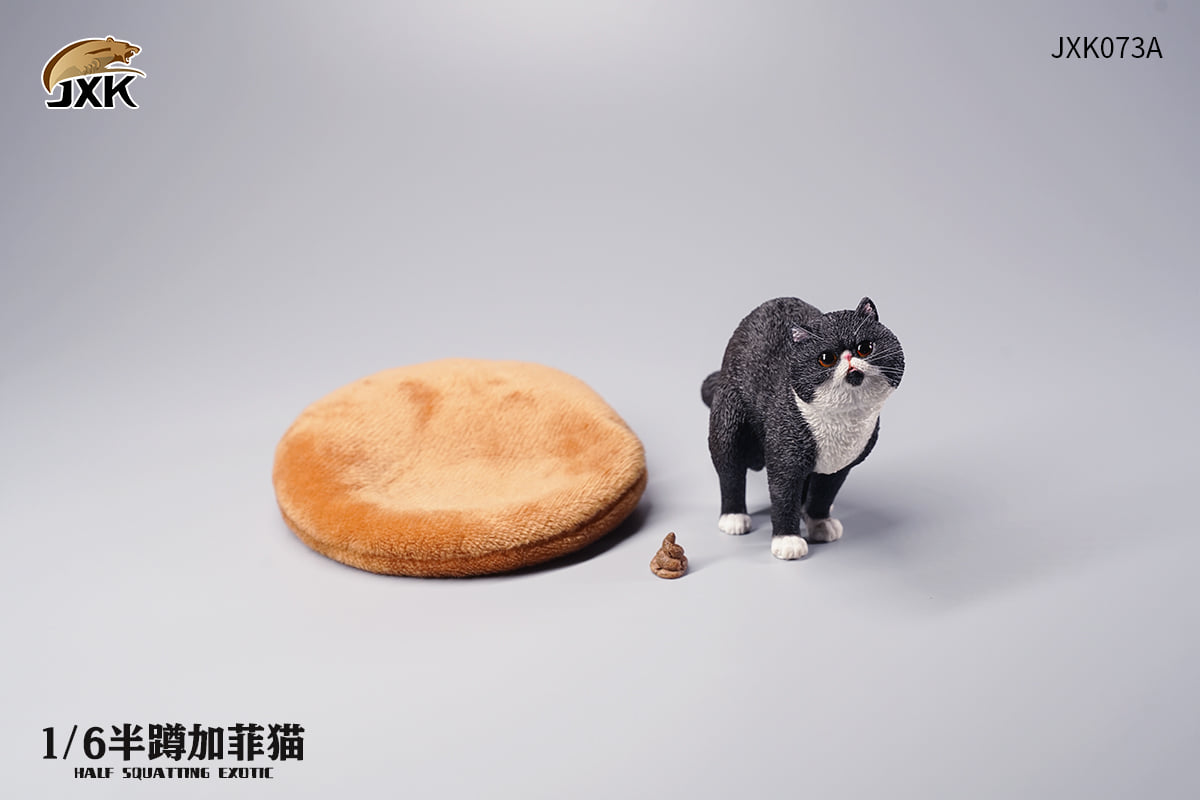 [สั่งจอง]JXK JXK073 ABCD 1/6 : Half squatting ExoticShorthair
