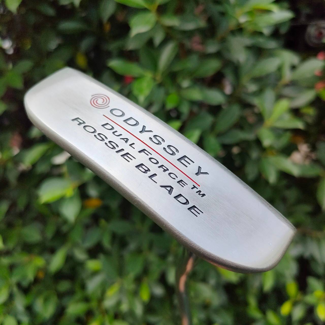PUTTER ODYSSEY DUAL FORCE TM ROSSIE BLADE ความยาว 34 นิ้ว ก้าน ODYSSEY DUAL FORCE หน้าดำ หนึบๆ เกาะไลน์มากๆครับ